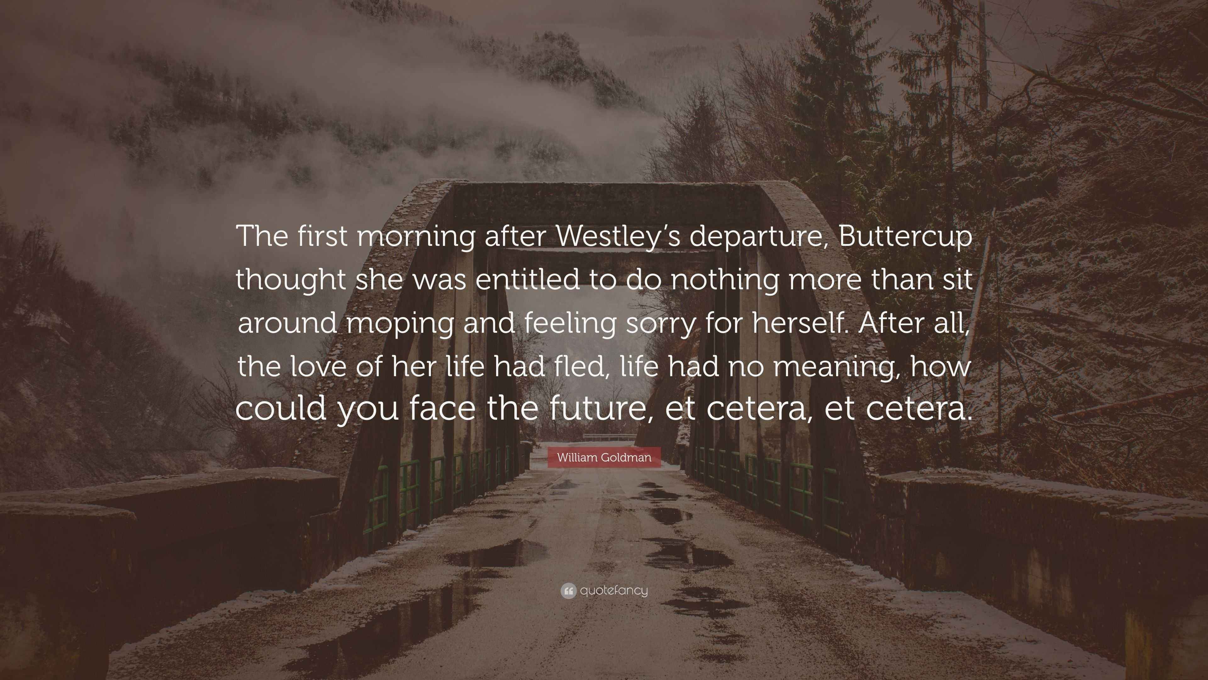 William Goldman Quote “The first morning after Westley’s departure