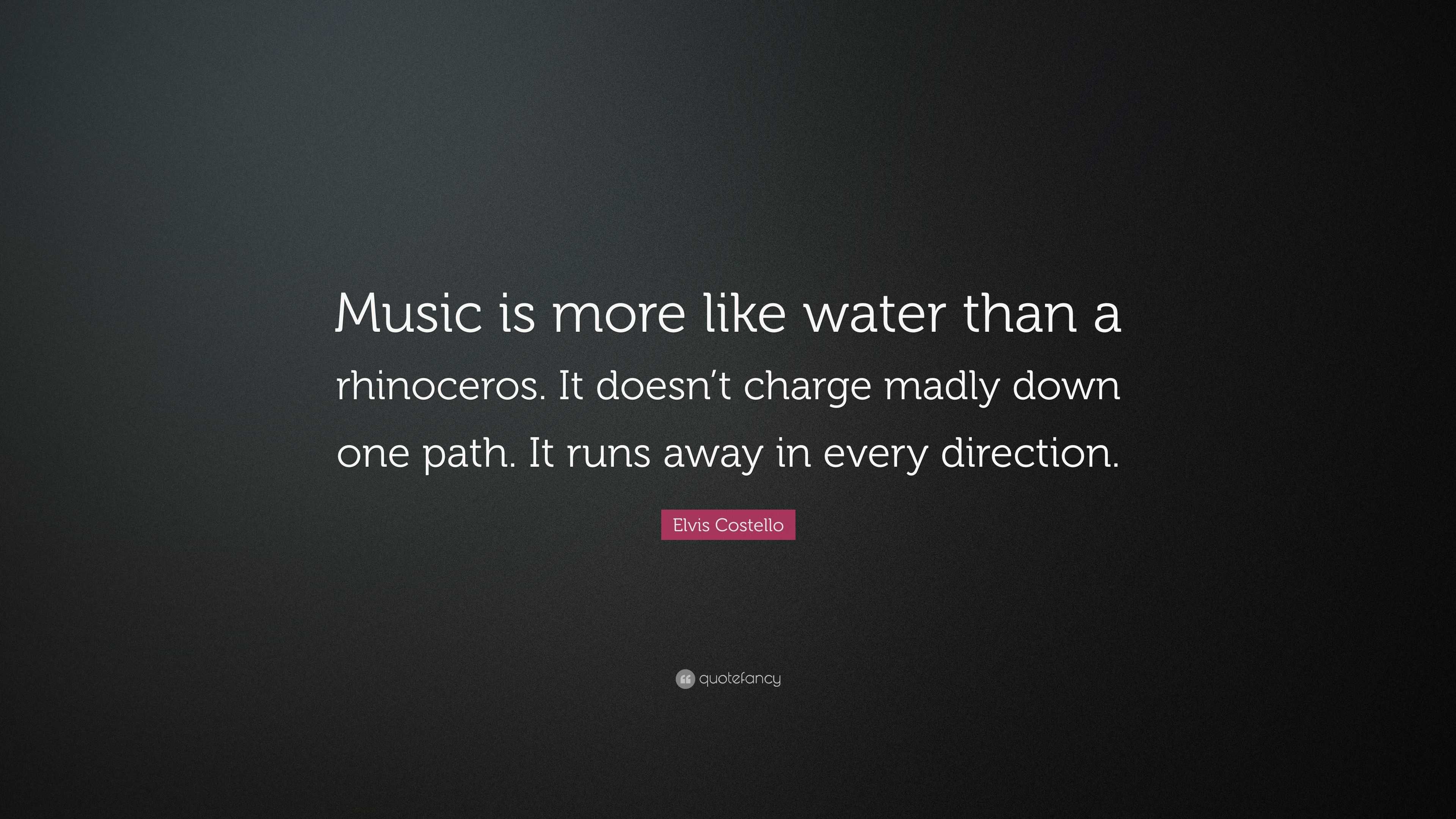 Elvis Costello Quote Music Is More Like Water Than A Rhinoceros It Doesn T Charge Madly Down One Path It Runs Away In Every Direction 7 Wallpapers Quotefancy