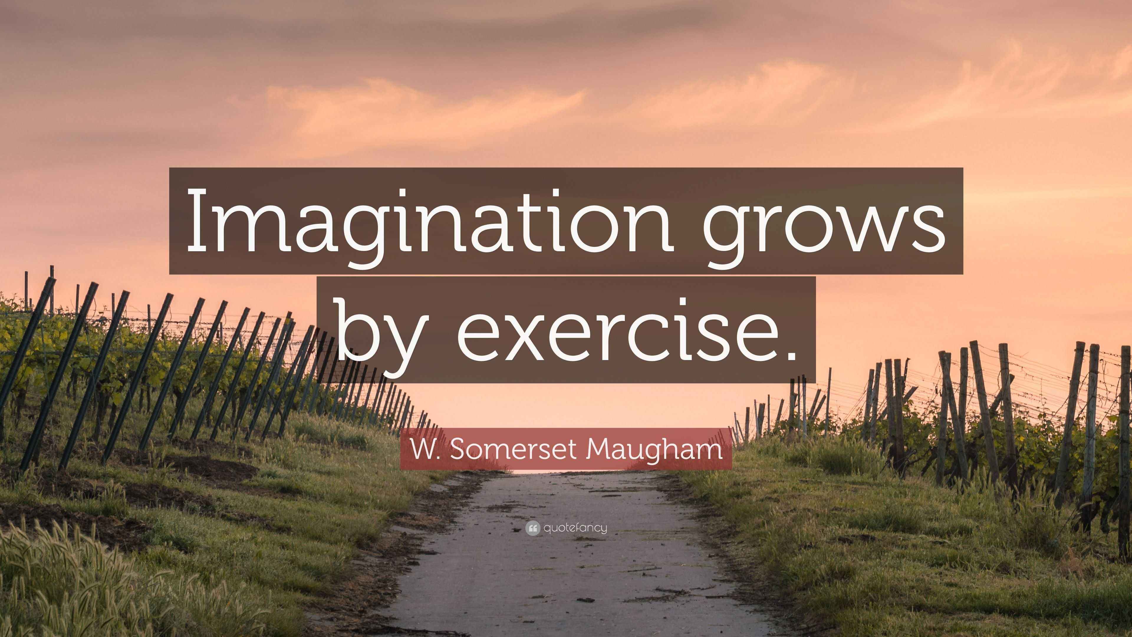 W Somerset Maugham Quote Imagination Grows By Exercise 
