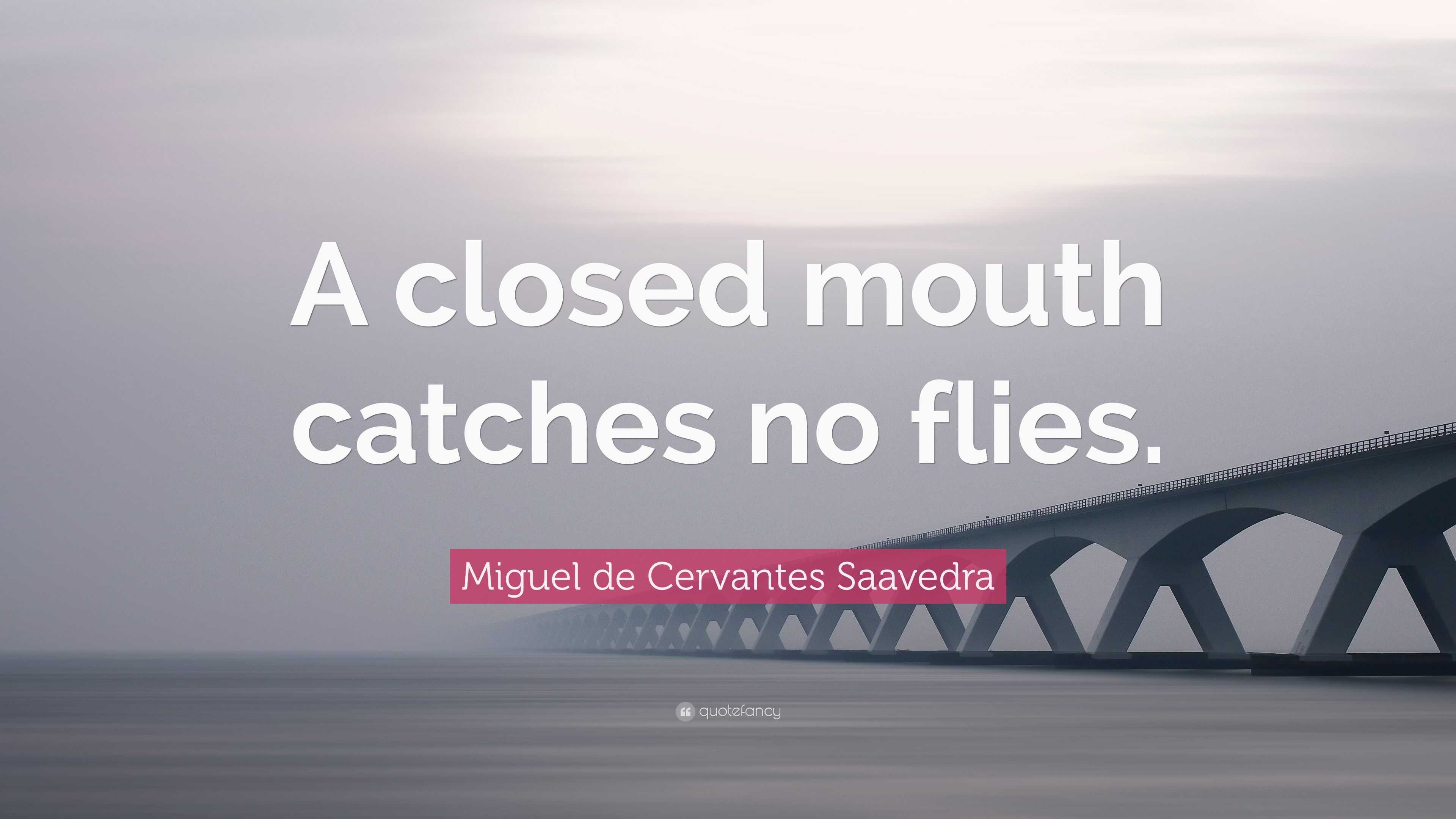 Miguel de Cervantes Saavedra Quote A closed mouth catches no flies