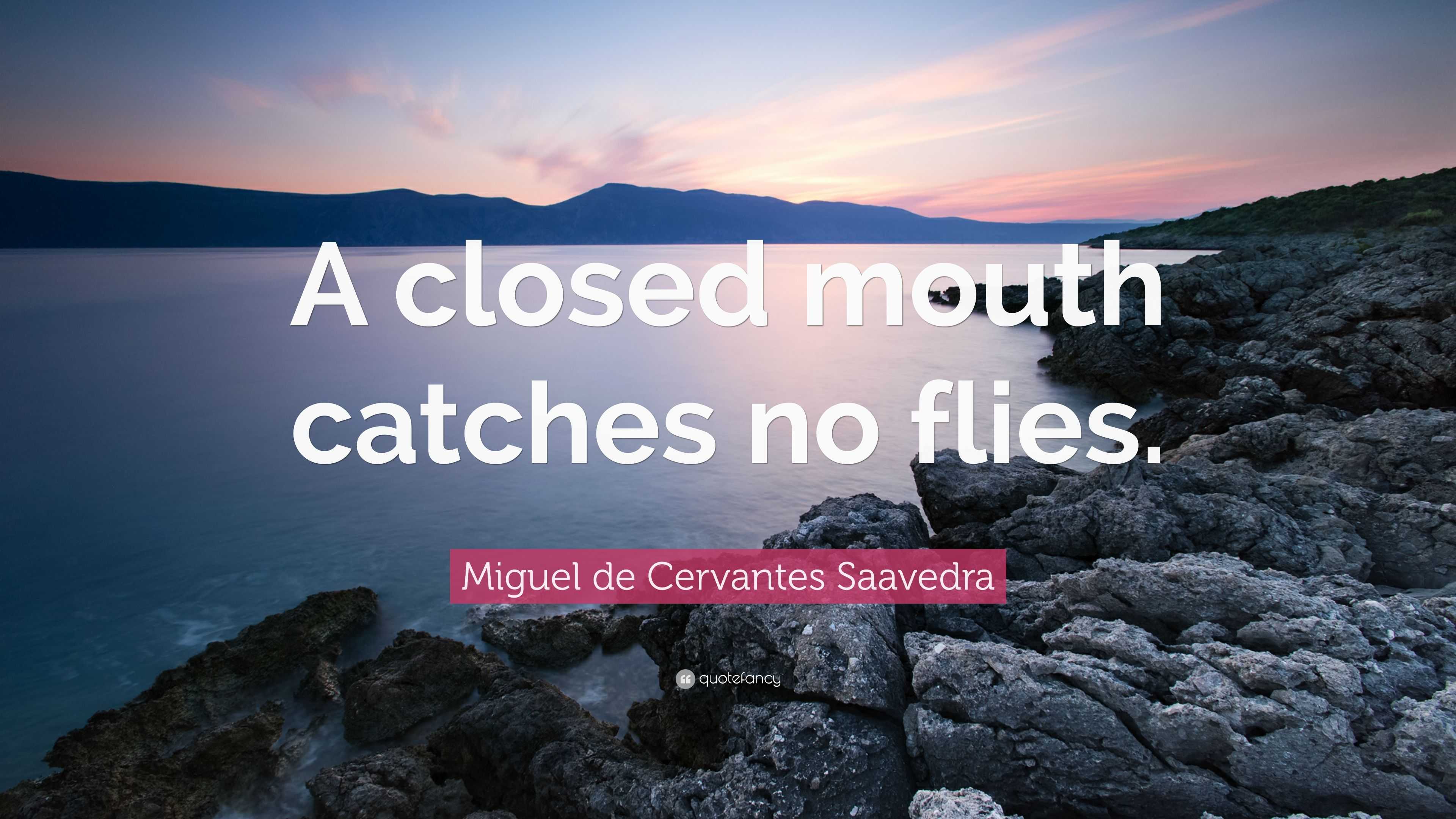 Miguel de Cervantes Saavedra Quote A closed mouth catches no flies