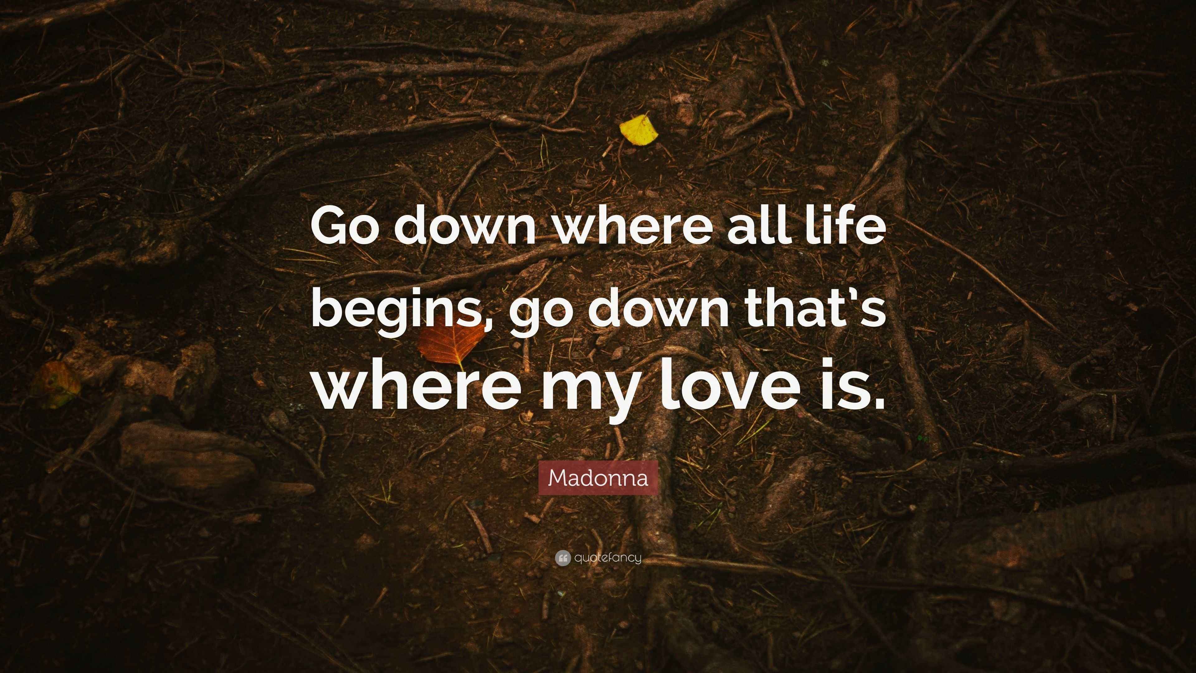 Madonna Quote “Go down where all life begins, go down