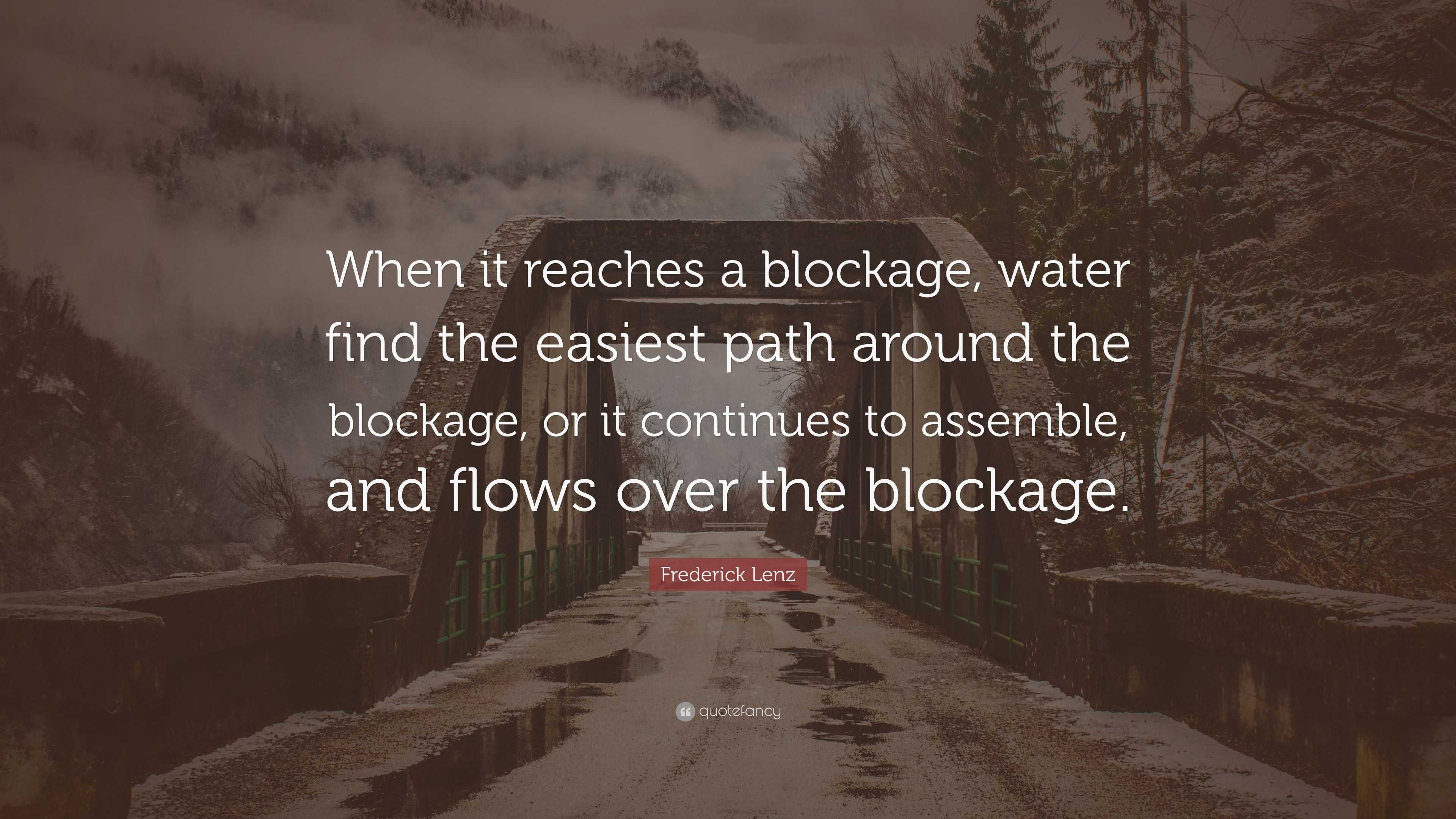 Frederick Lenz Quote: “When it reaches a blockage, water find the ...