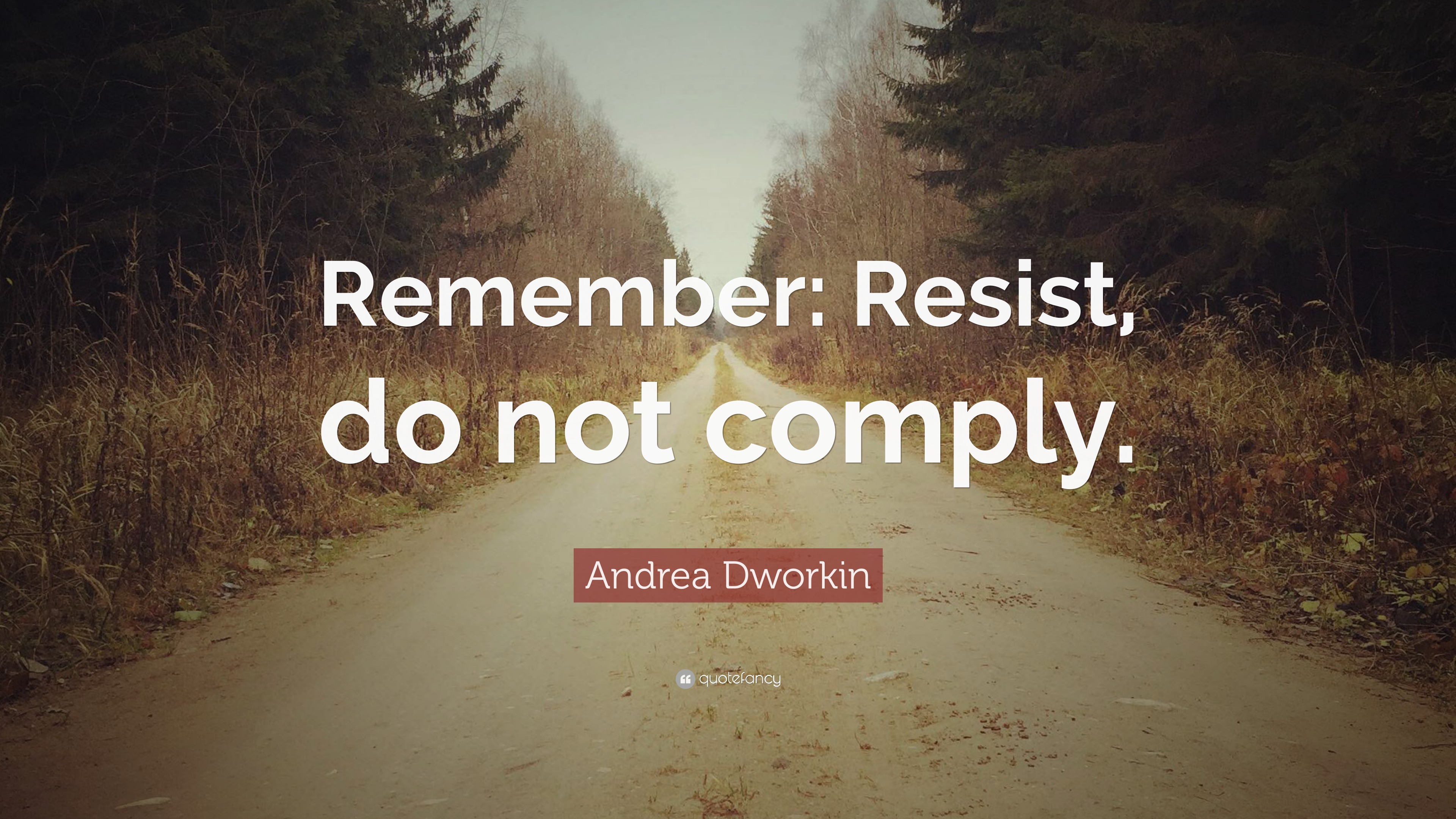 Andrea Dworkin Quote Remember Resist Do Not Comply 