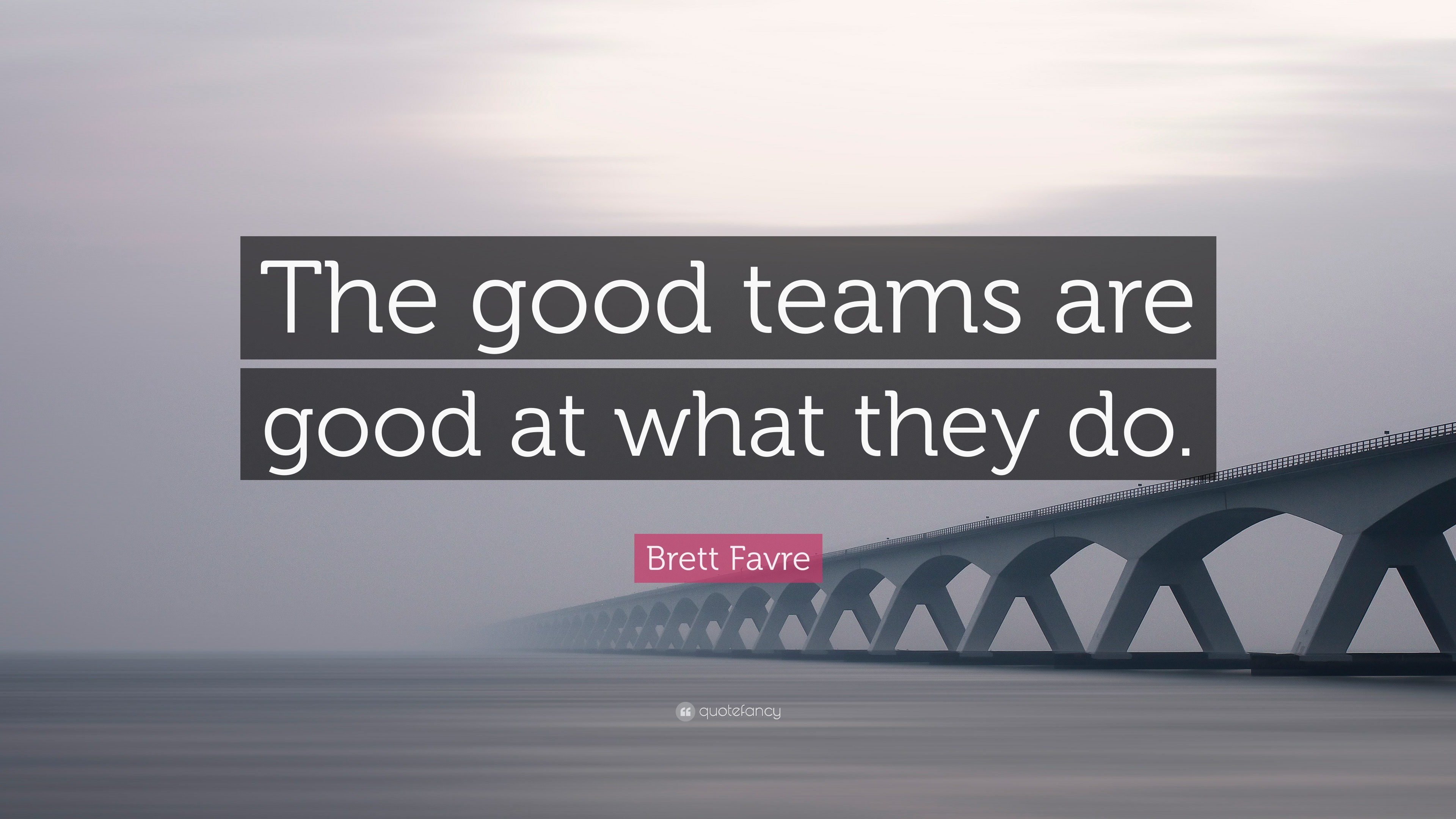 Brett Favre Quote: “The good teams are good at what they do.”