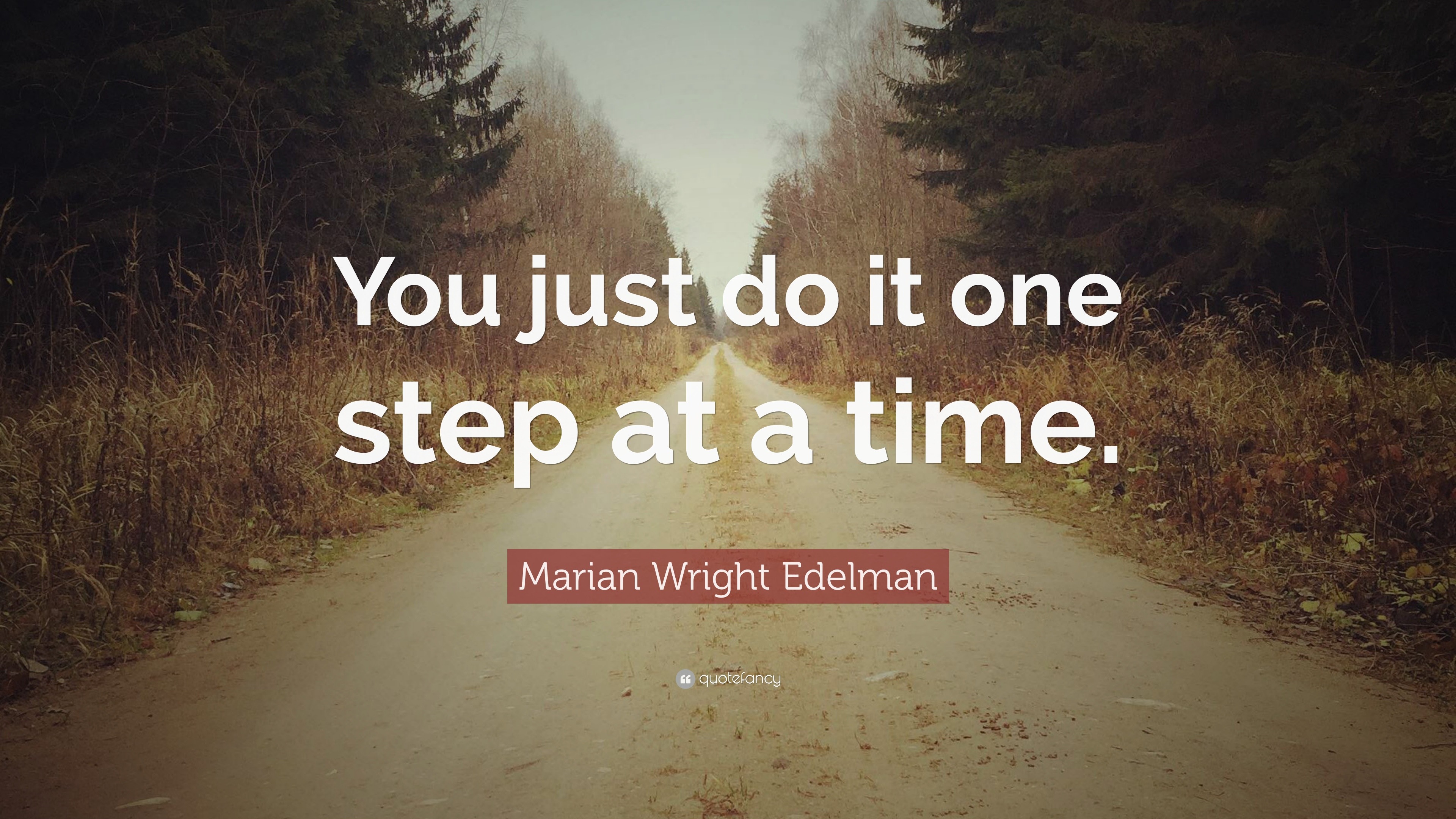 Marian Wright Edelman Quote You Just Do It One Step At A Time 