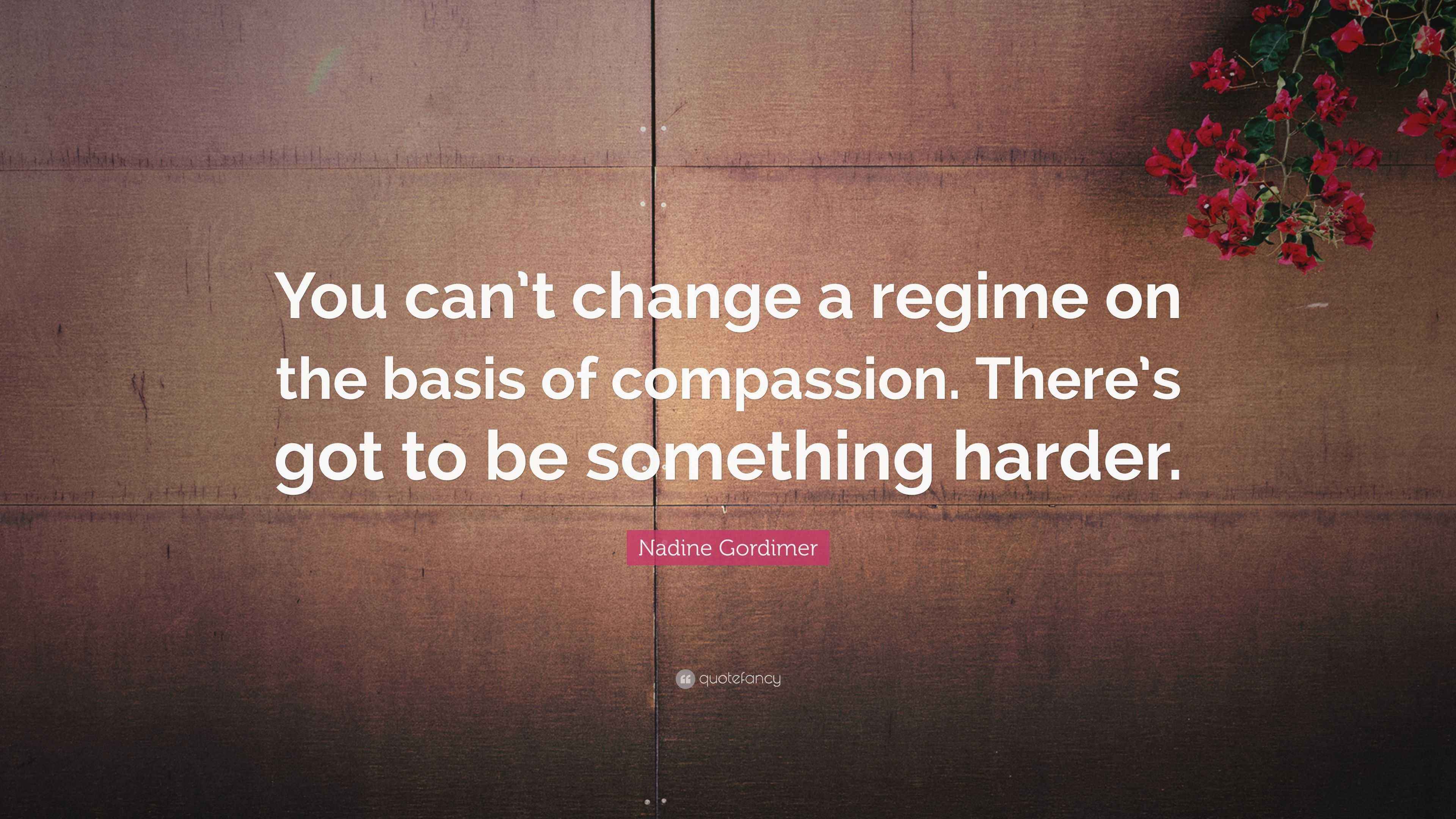 Nadine Gordimer Quote: “You can’t change a regime on the basis of