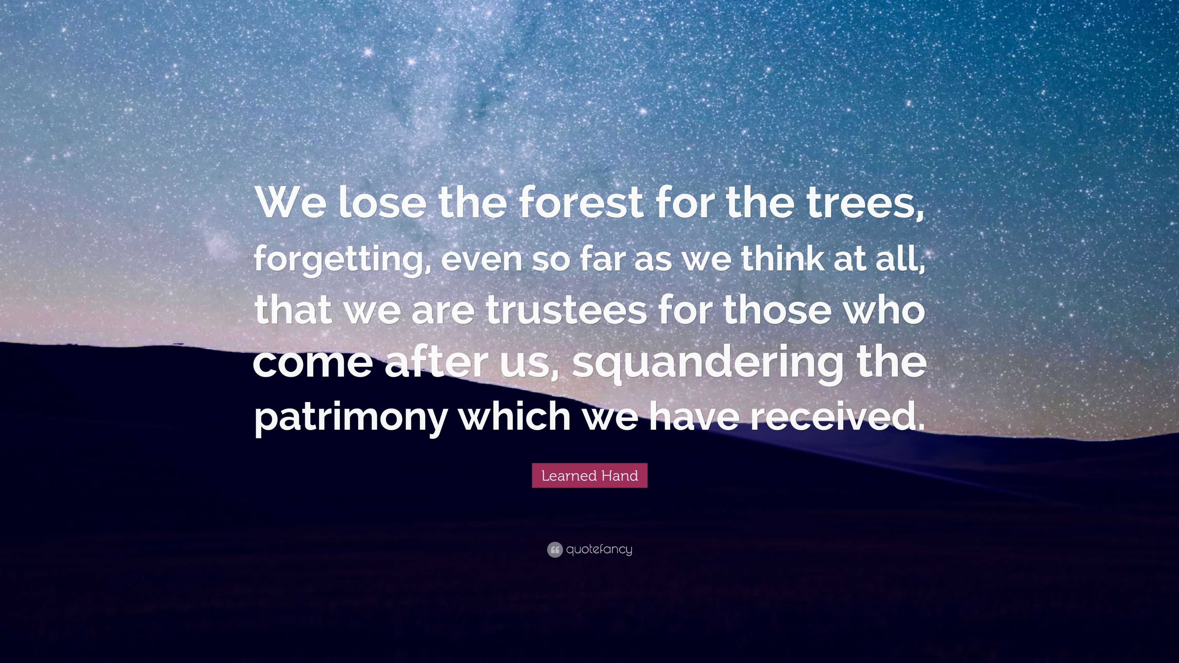 Learned Hand Quote: “We lose the forest for the trees, forgetting, even ...