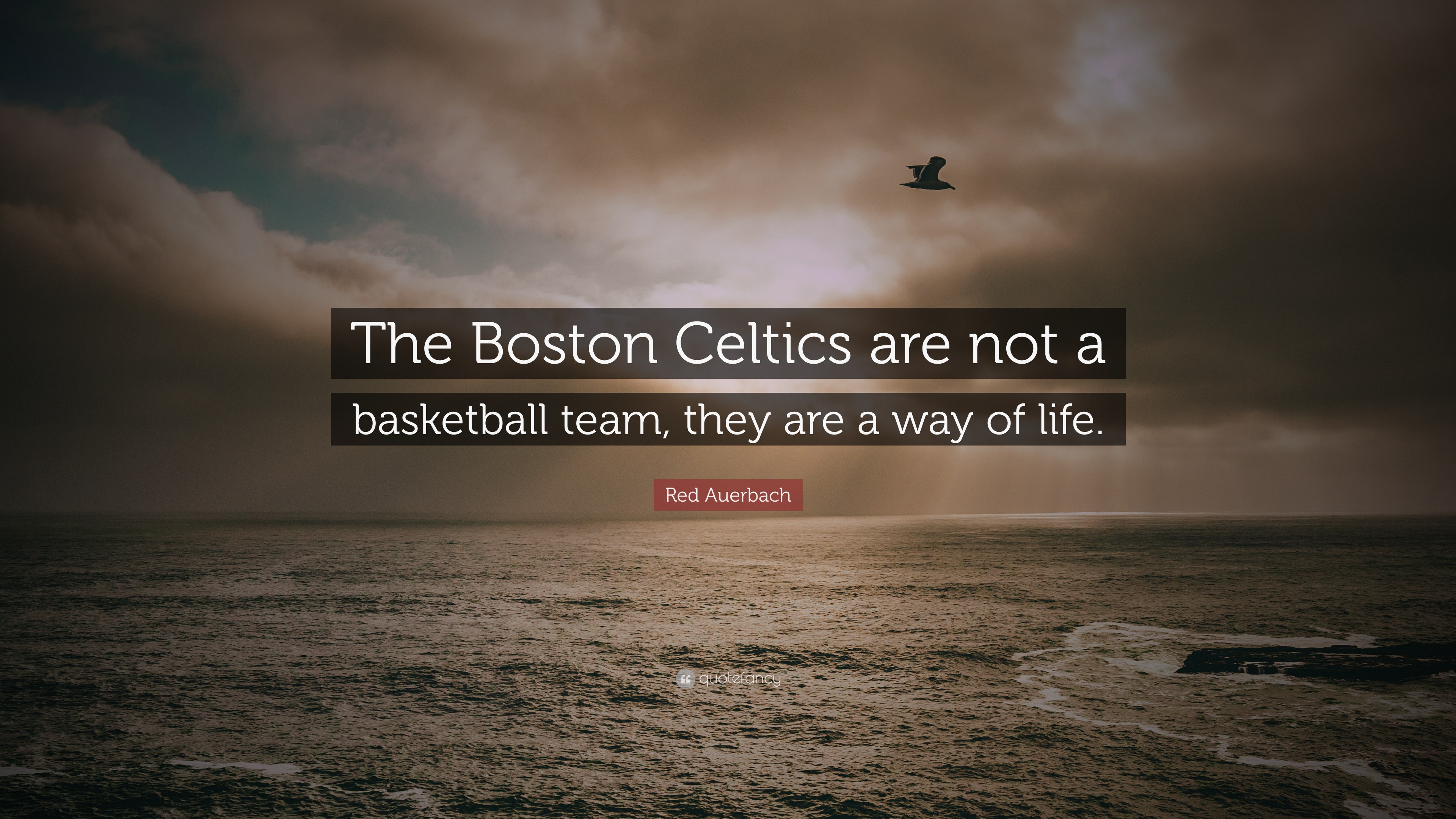 Wallpaper: Celtics Life and Team Boston wallpapers!