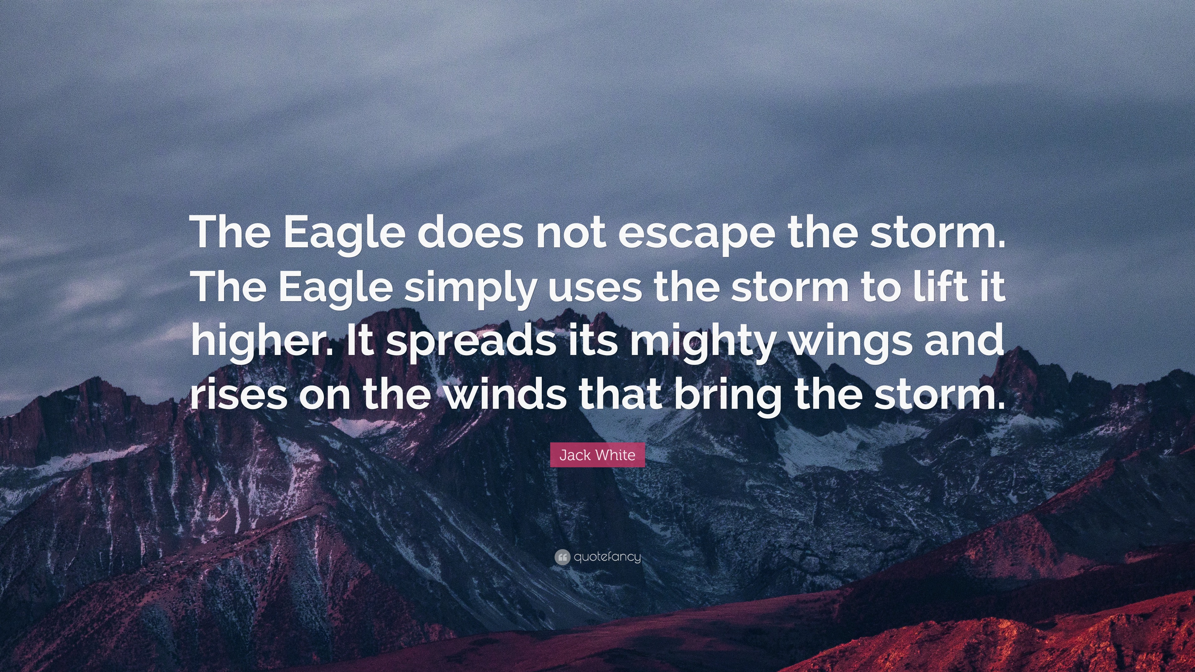 Jack White Quote: “The Eagle does not escape the storm. The Eagle ...