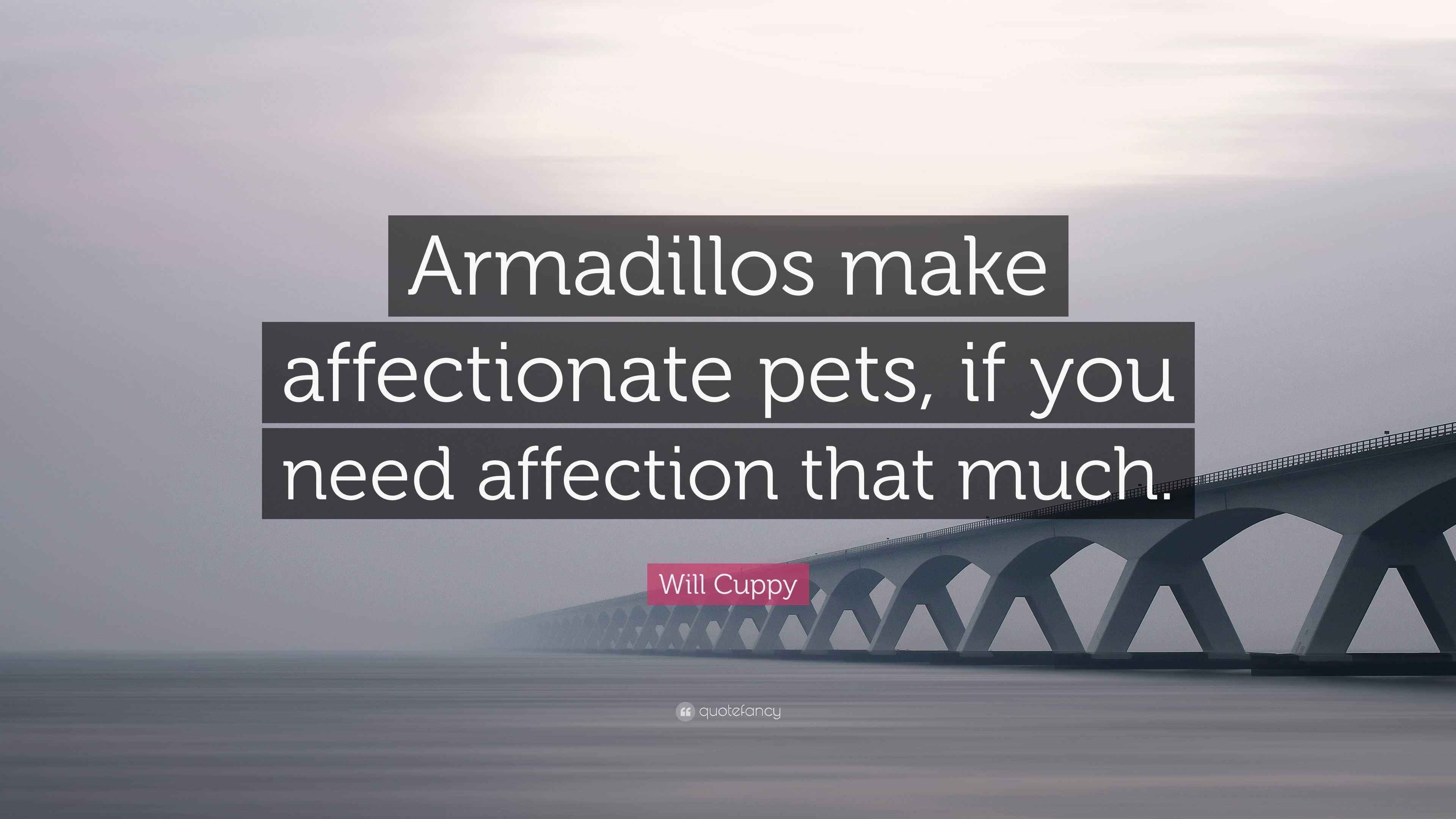 Will Cuppy Quote “Armadillos make affectionate pets, if you need affection that much.”