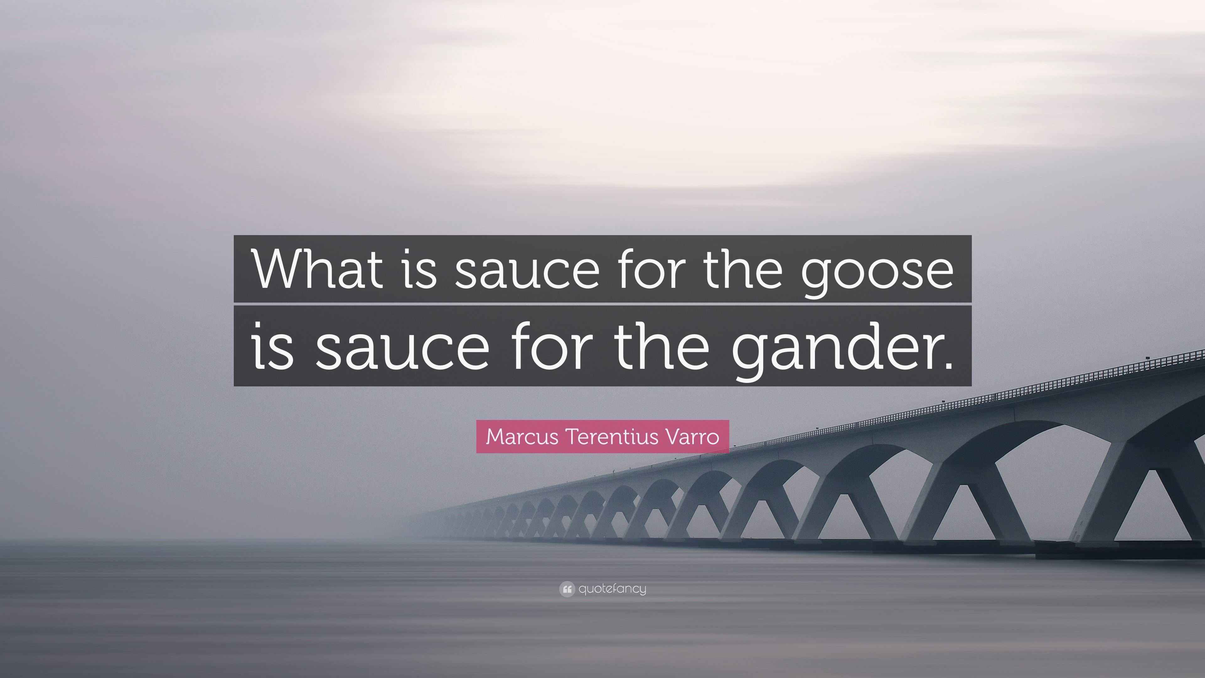 Marcus Terentius Varro Quote “What is sauce for the goose is sauce for the gander.”