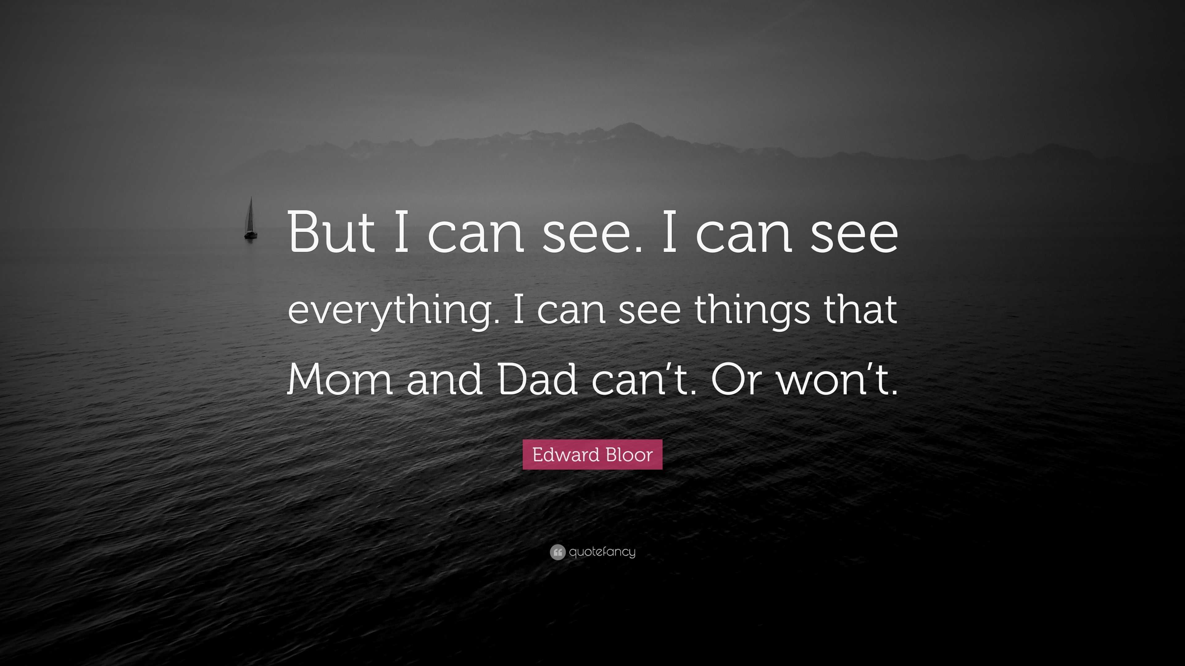 Edward Bloor Quote “But I can see. I can see everything. I can see