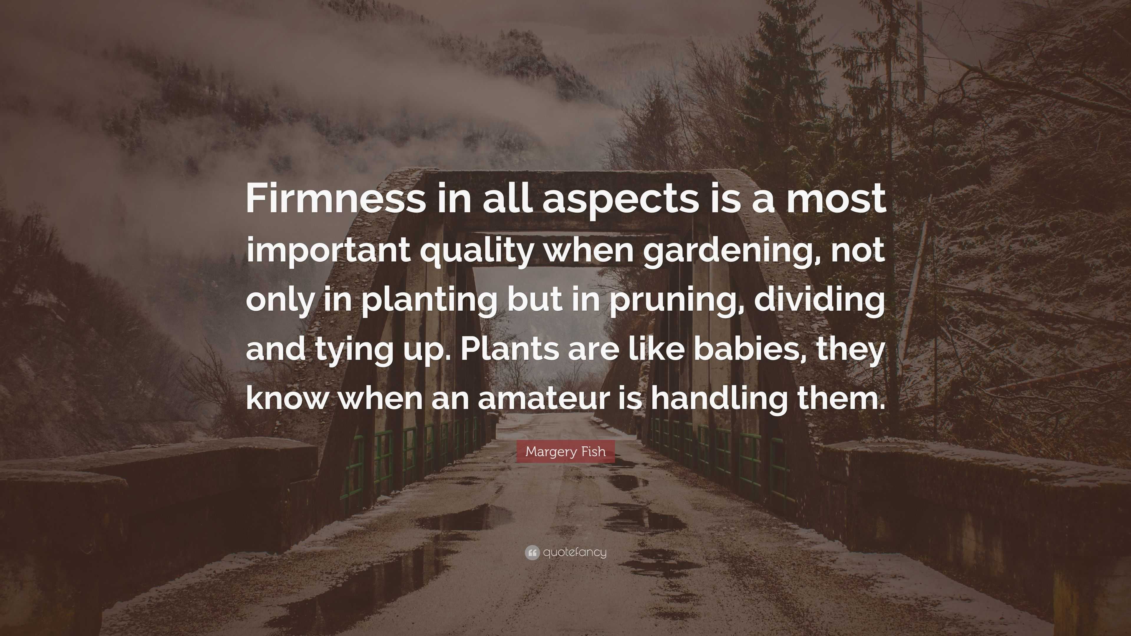 Margery Fish Quote: “Firmness in all aspects is a most important ...