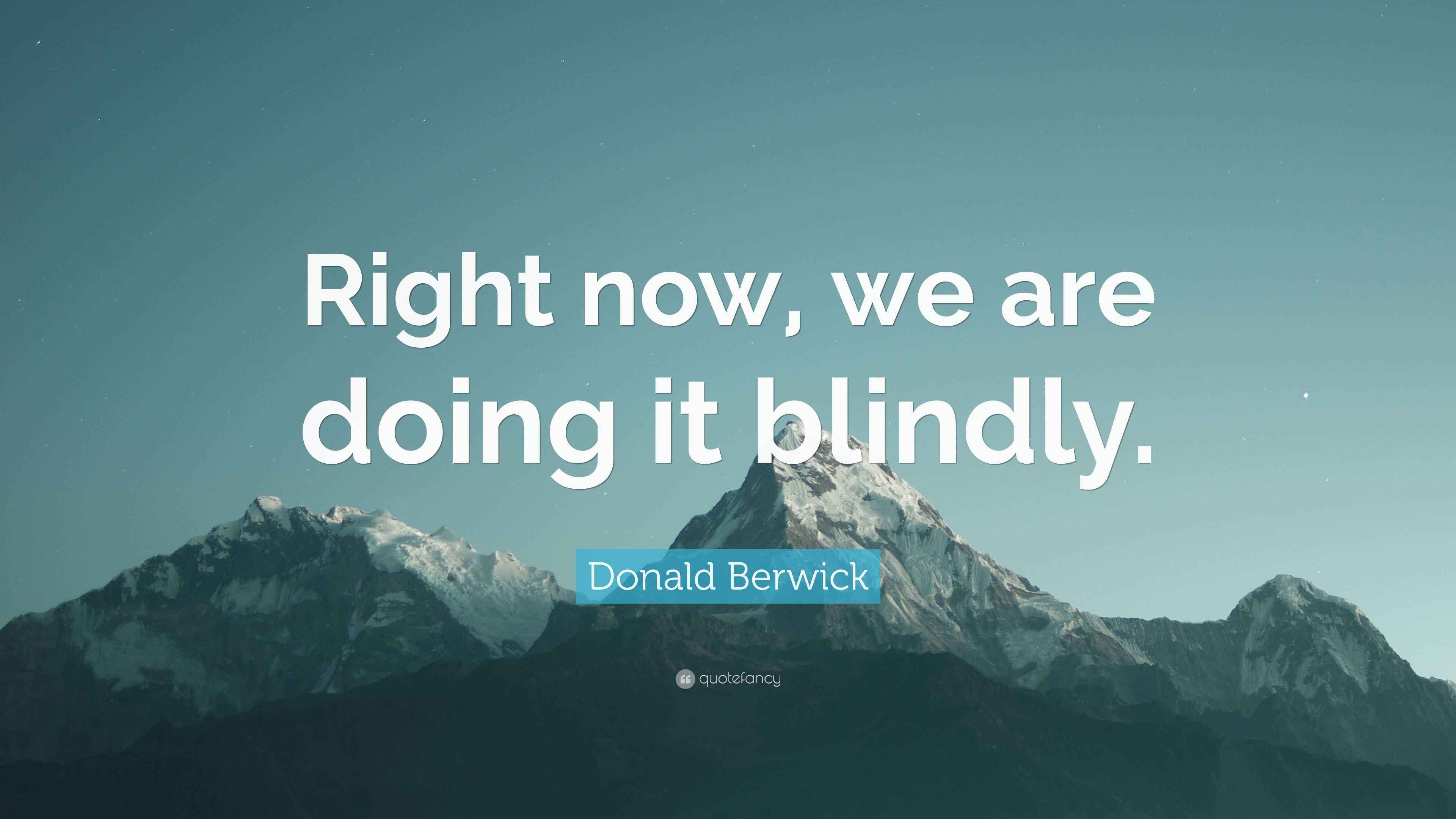 Donald Berwick Quote: “Right now, we are doing it blindly.”