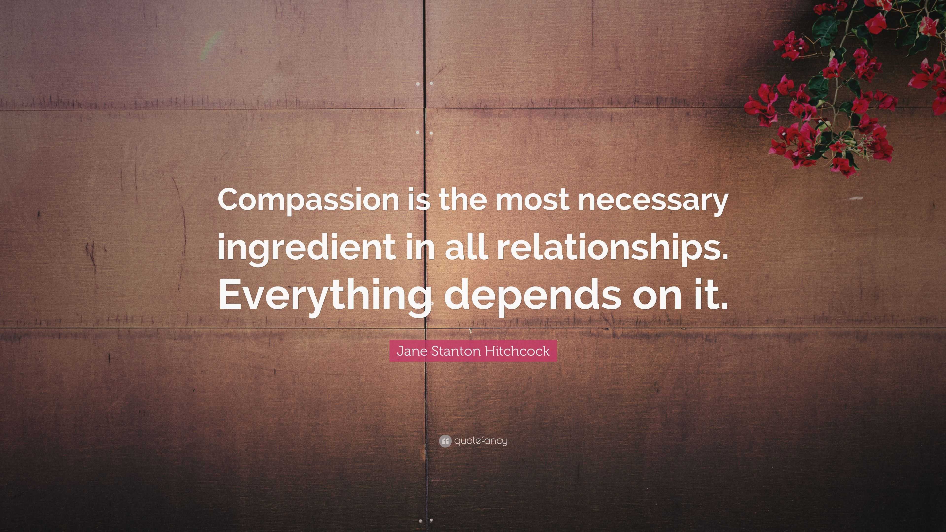 Jane Stanton Hitchcock Quote: “Compassion is the most necessary ...