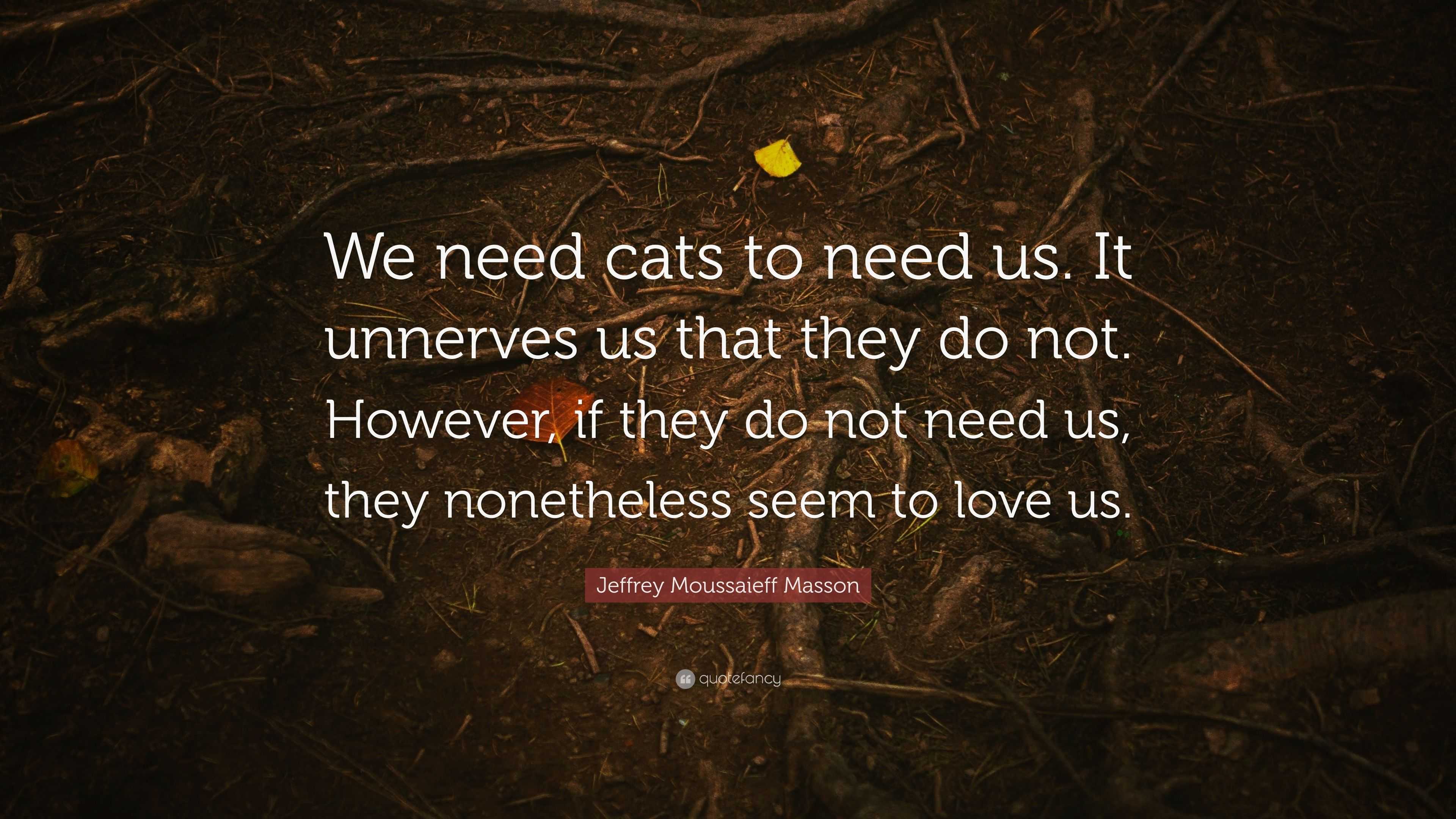 Jeffrey Moussaieff Masson Quote: “We need cats to need us. It unnerves us  that they do not. However, if they do not need us, they nonetheless seem to  love”