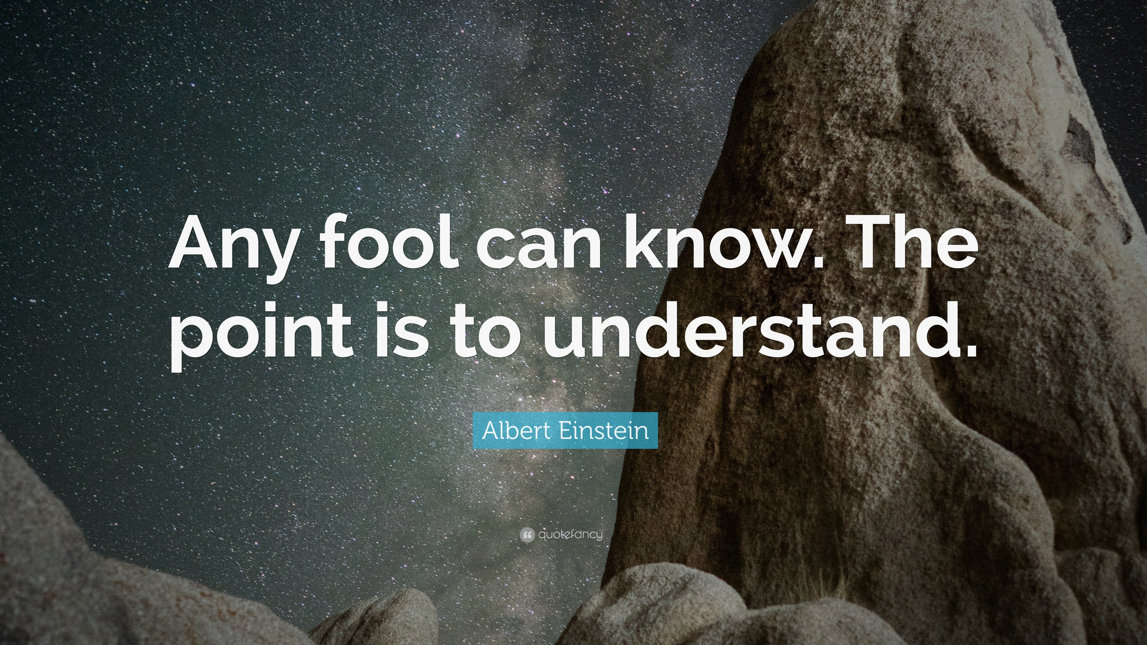 Albert Einstein Quote: “Any fool can know. The point is to understand