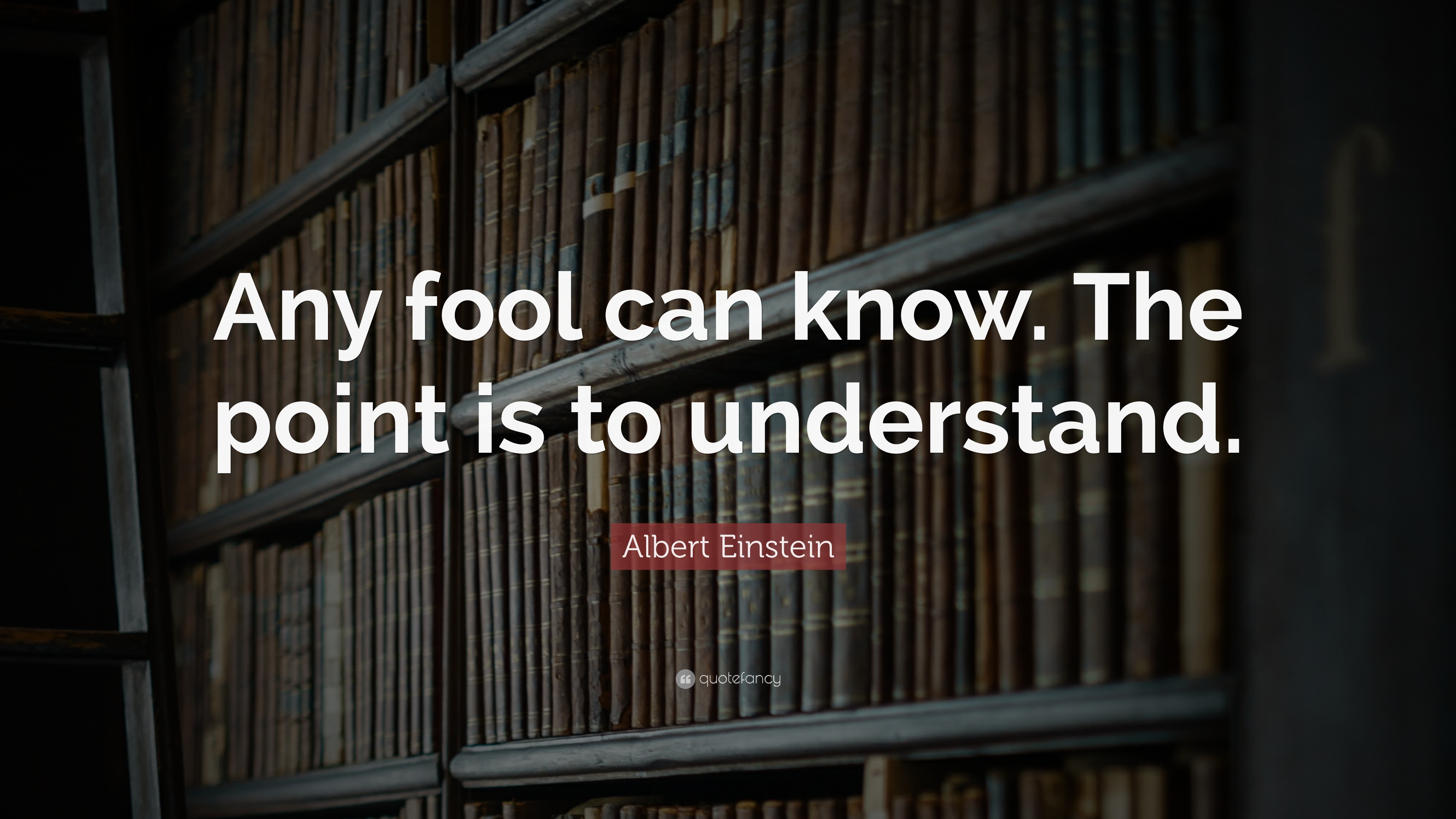 Albert Einstein Quote: “Any fool can know. The point is to understand ...