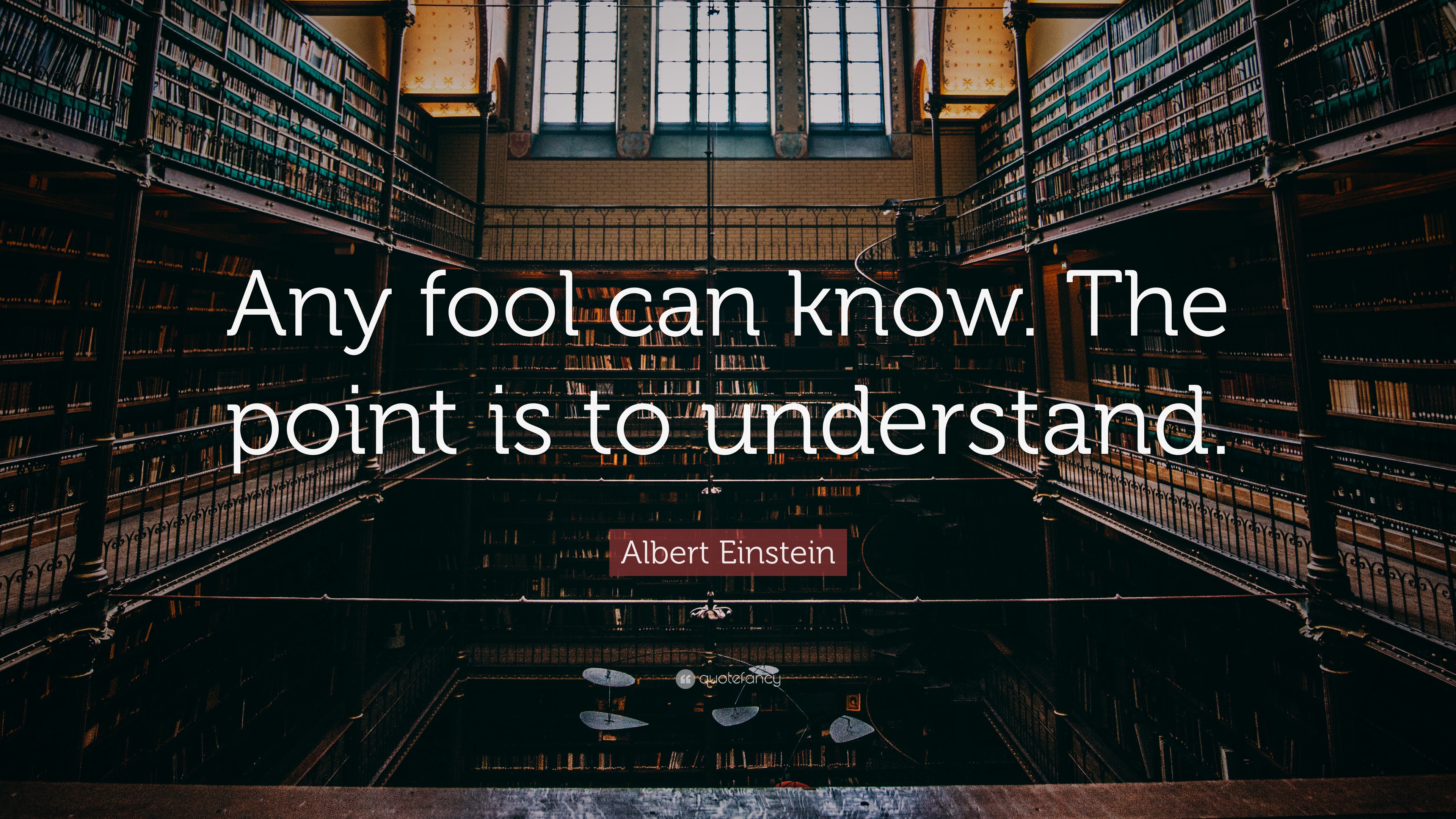 Albert Einstein Quote: “Any fool can know. The point is to understand.”