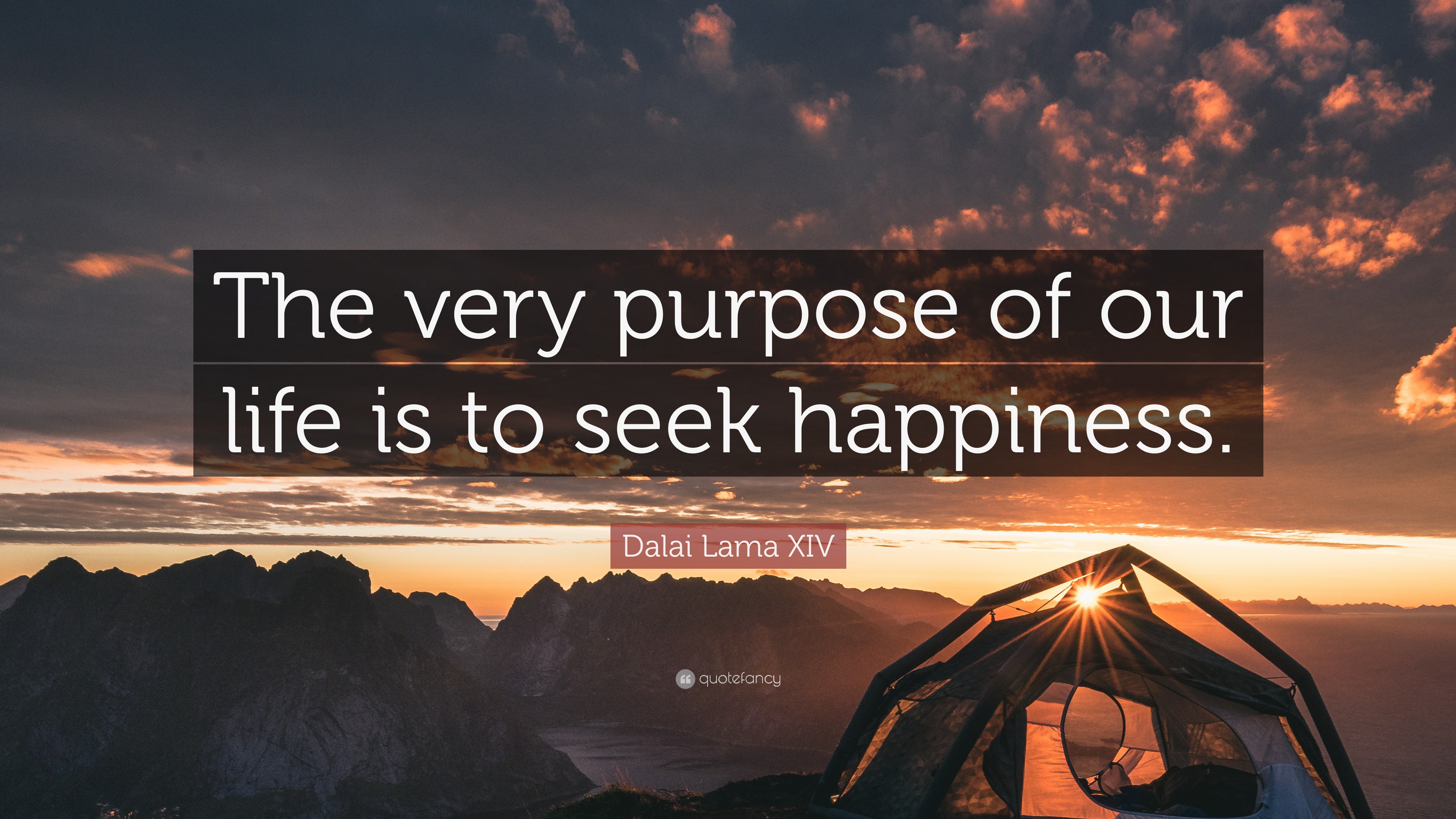 Dalai Lama XIV Quote: “The very purpose of our life is to seek happiness.”