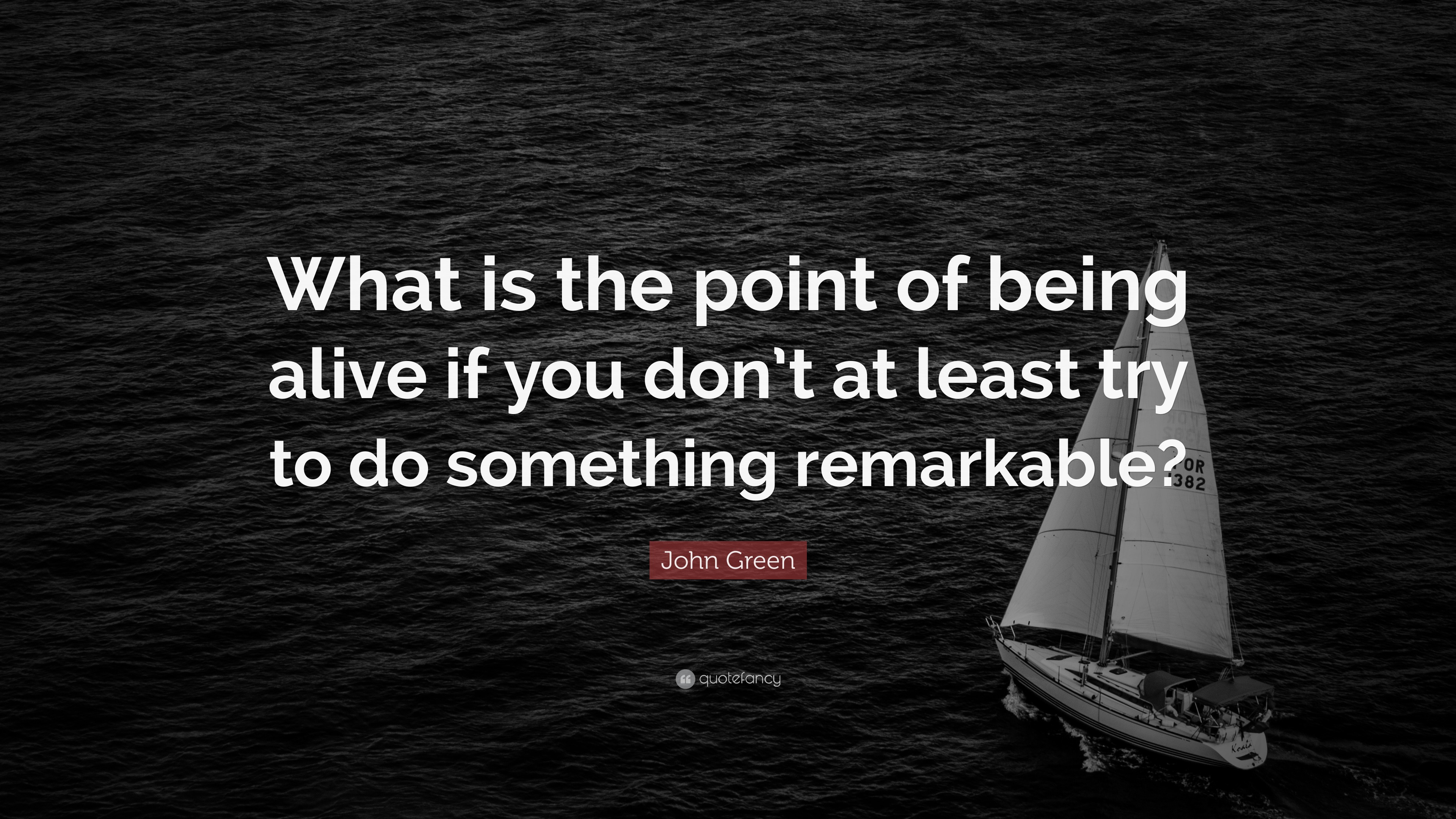 Life Quotes “What is the point of being alive if you don t