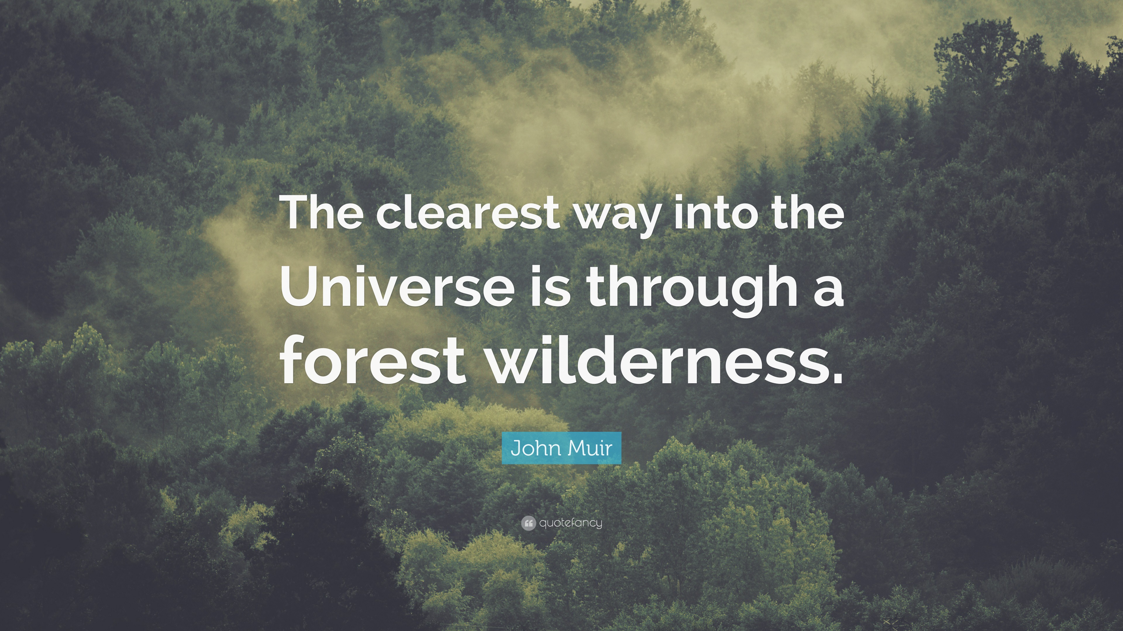 John Muir Quote: “The clearest way into the Universe is through a ...