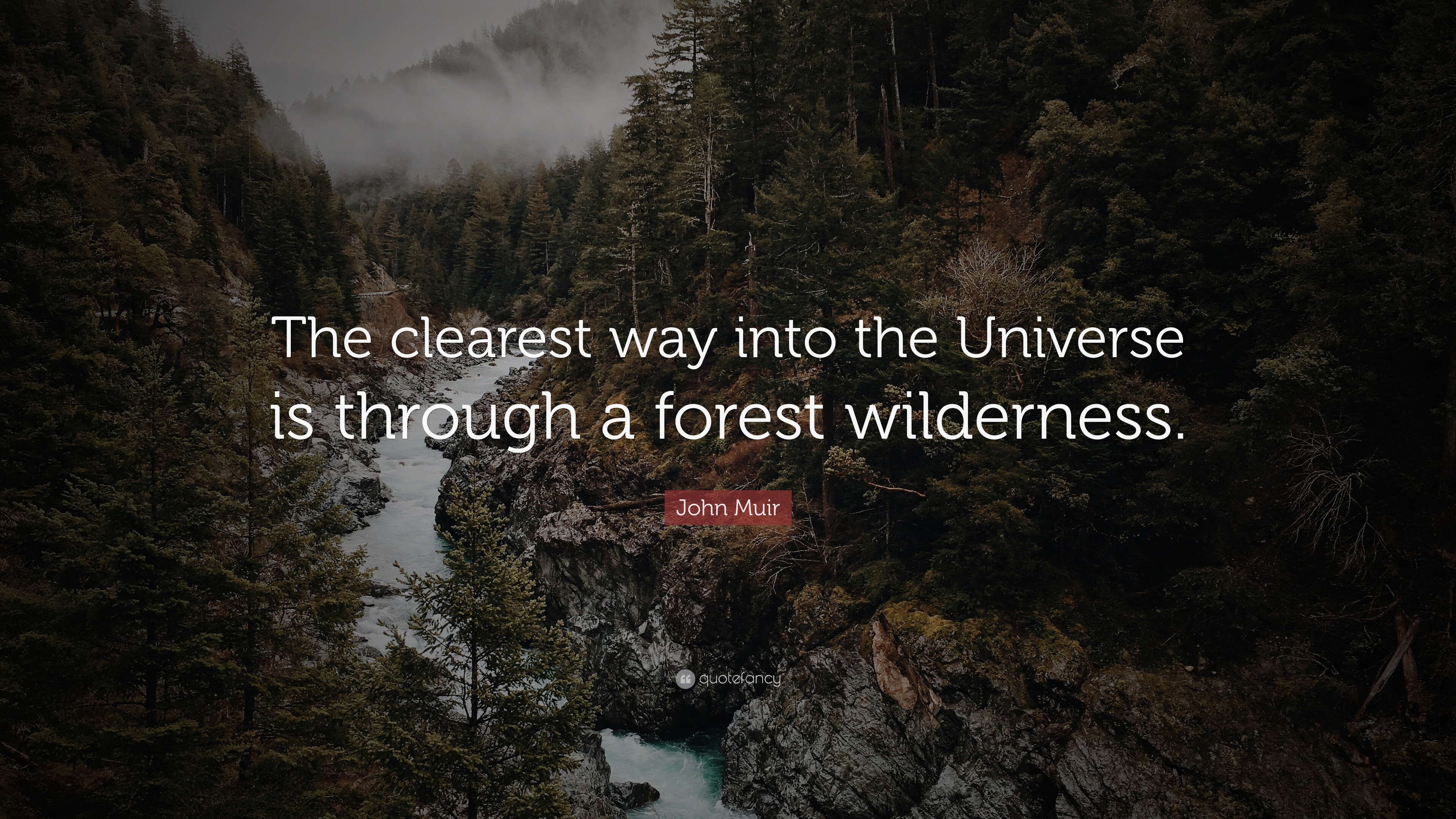 John Muir Quote: “The clearest way into the Universe is through a ...