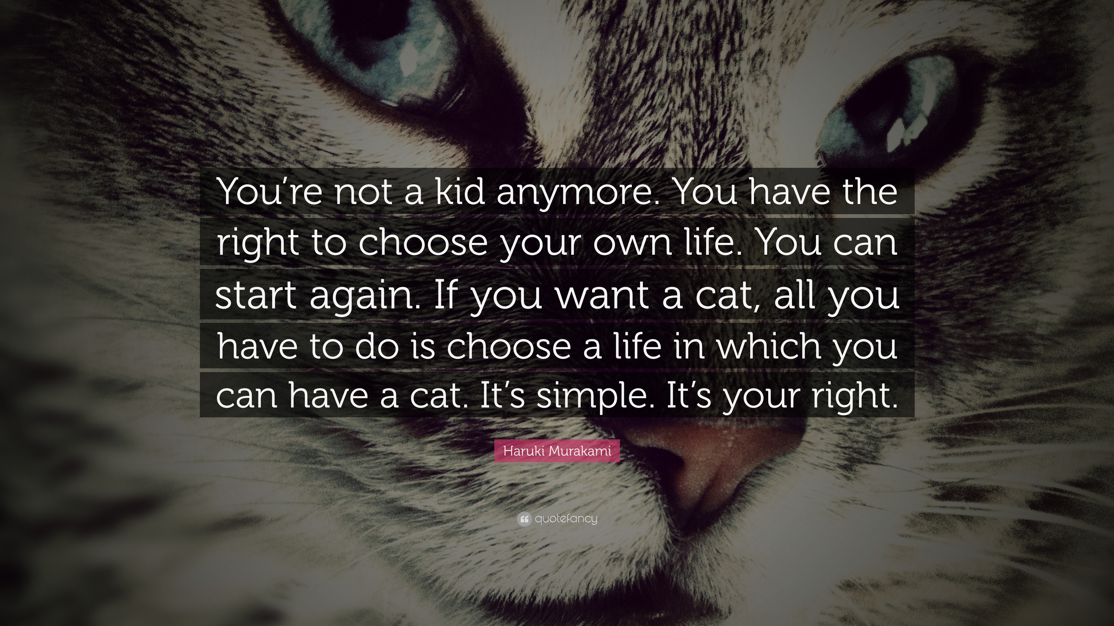 Haruki Murakami Quote: “You’re not a kid anymore. You have the right to ...