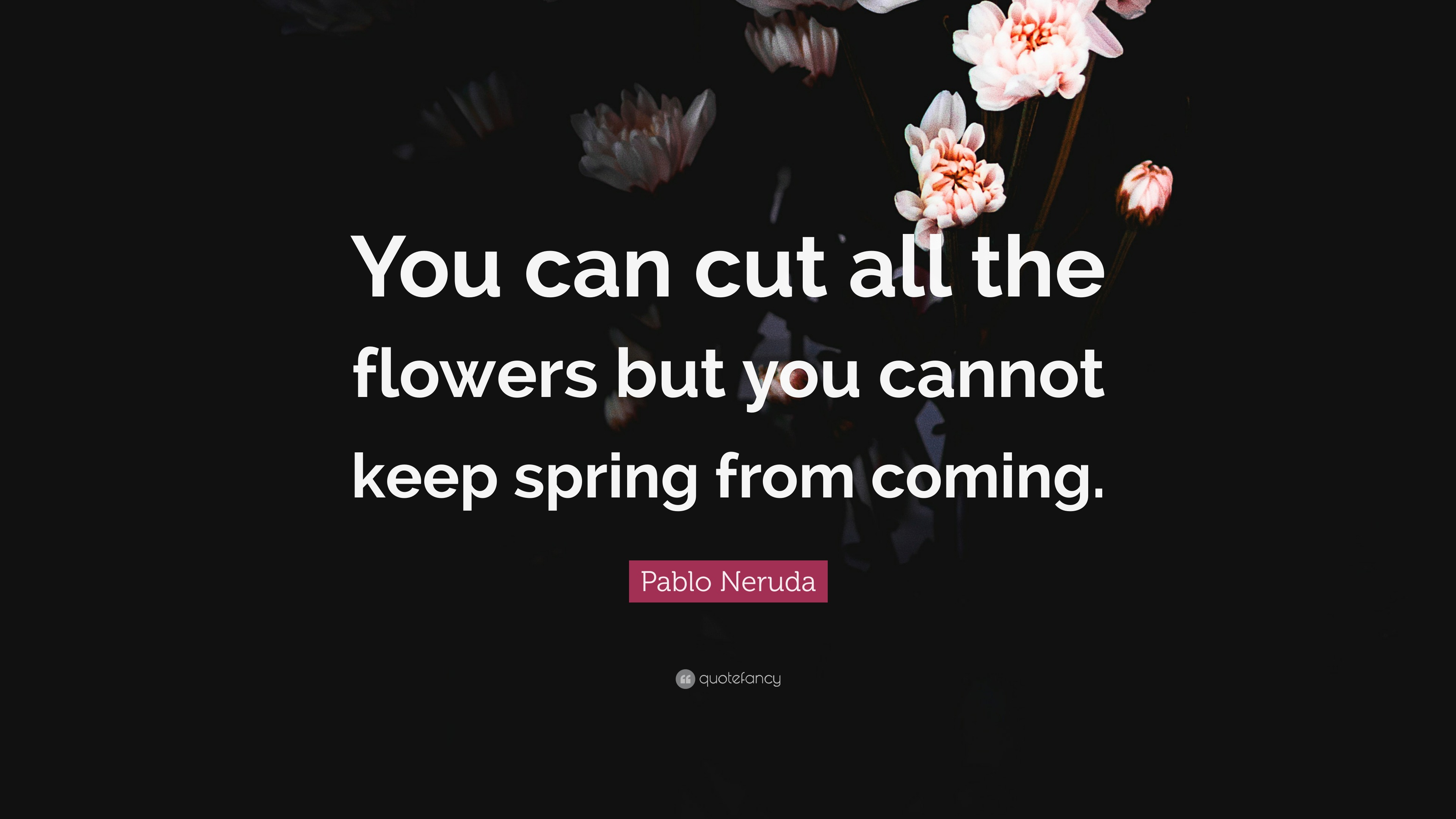 Pablo Neruda quotes. Flowers quotes. You can чёрный цвет.