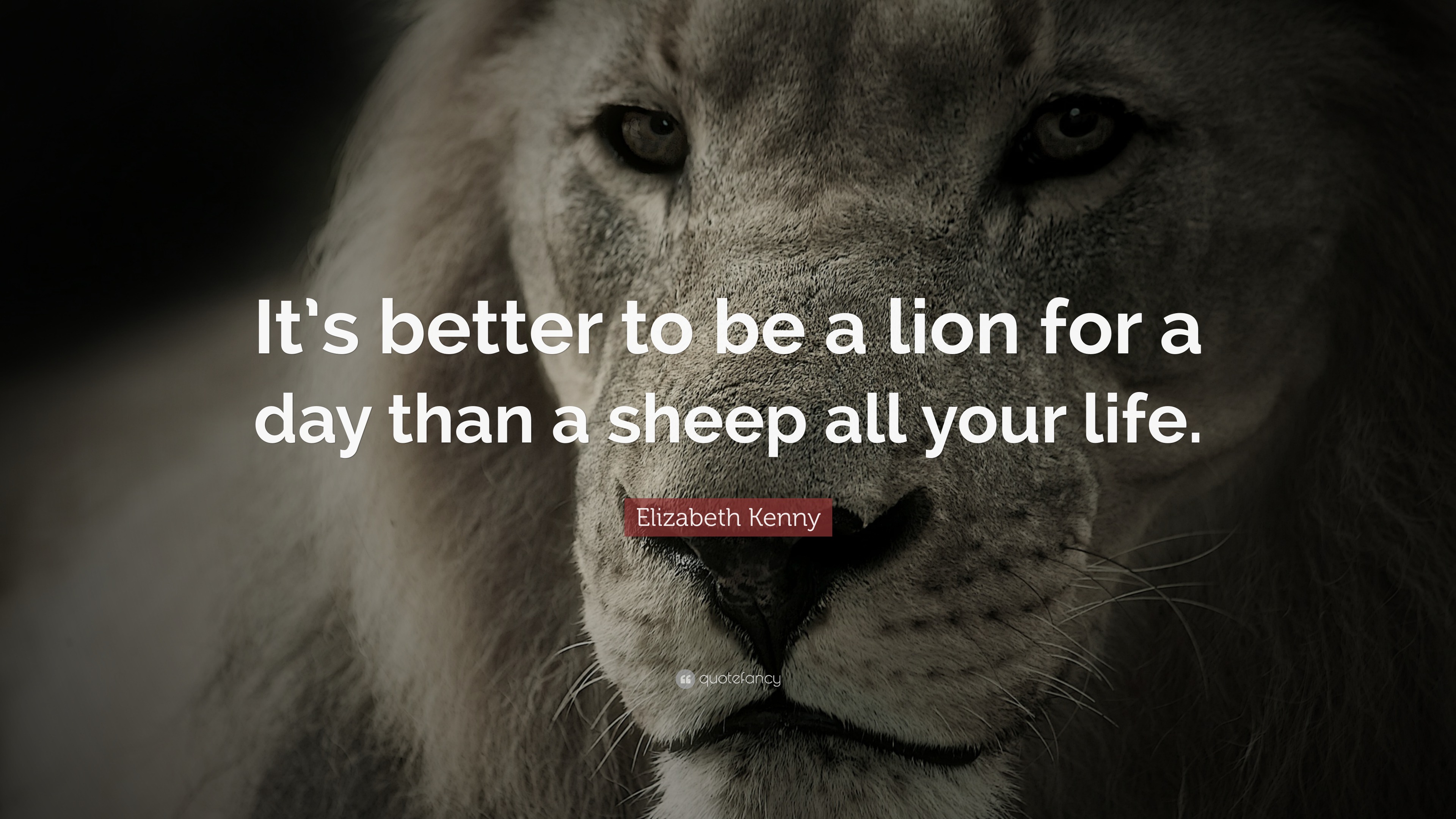 6361751 Elizabeth Kenny Quote It s better to be a lion for a day than a