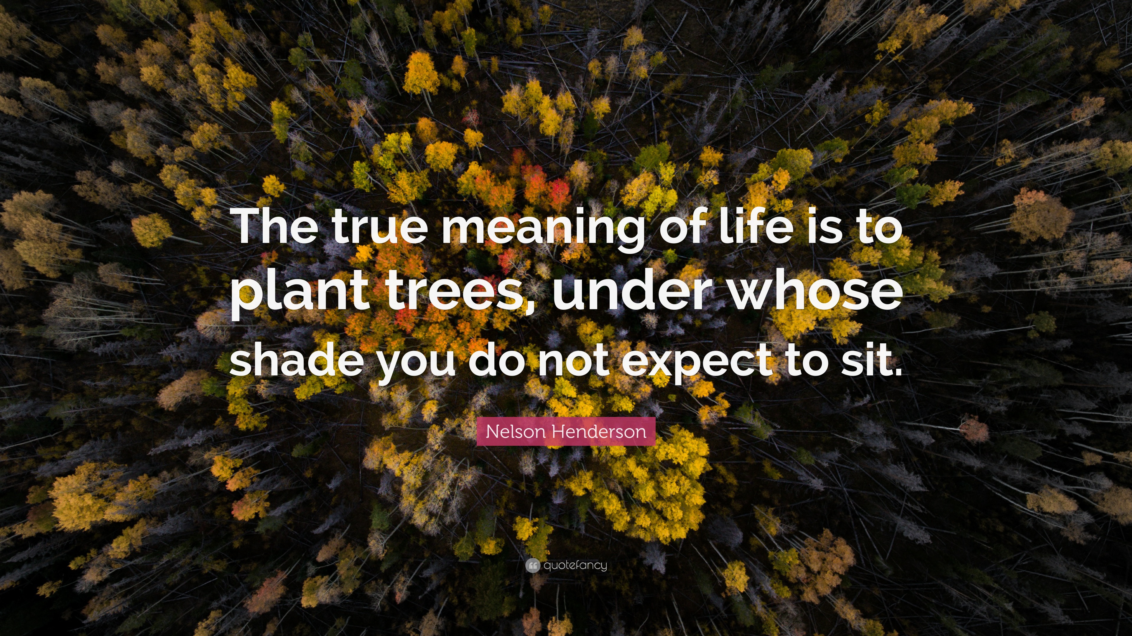 Nelson Henderson Quote: “The true meaning of life is to plant trees