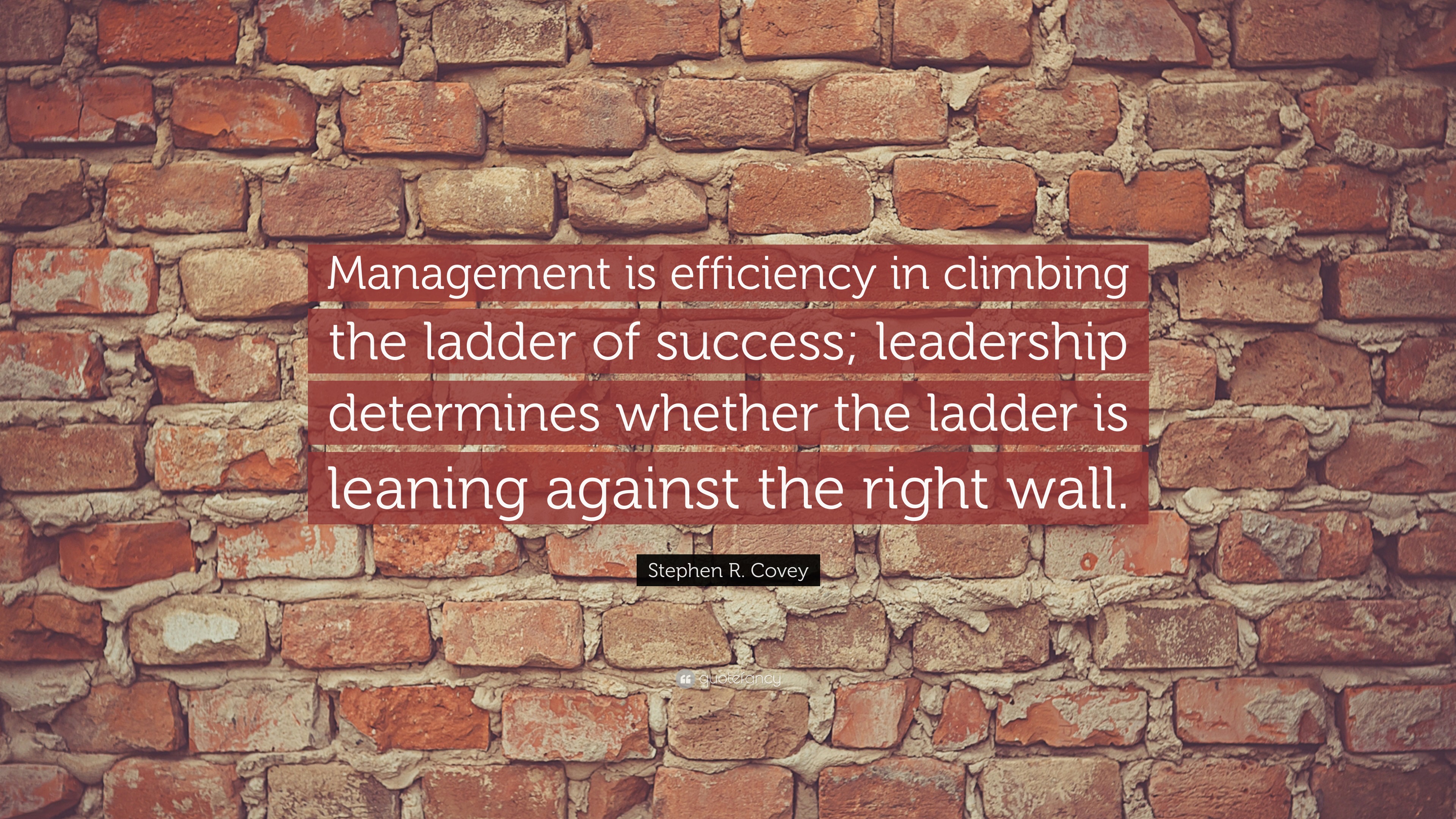 Stephen R. Covey Quote “Management is efficiency in climbing the