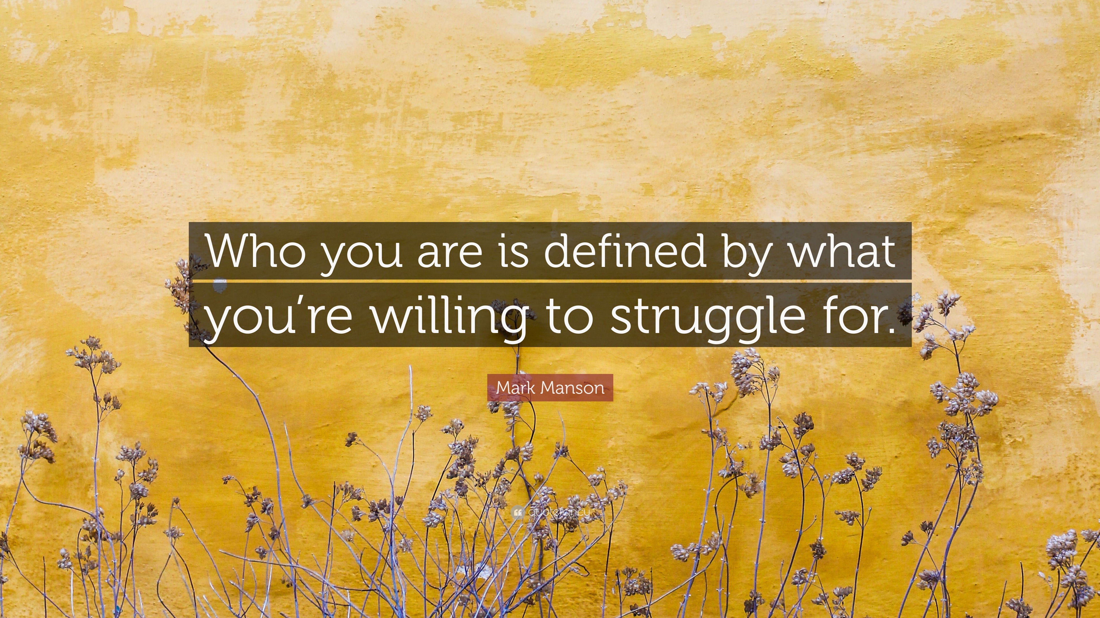 Mark Manson Quote: “Who you are is defined by what you’re willing to