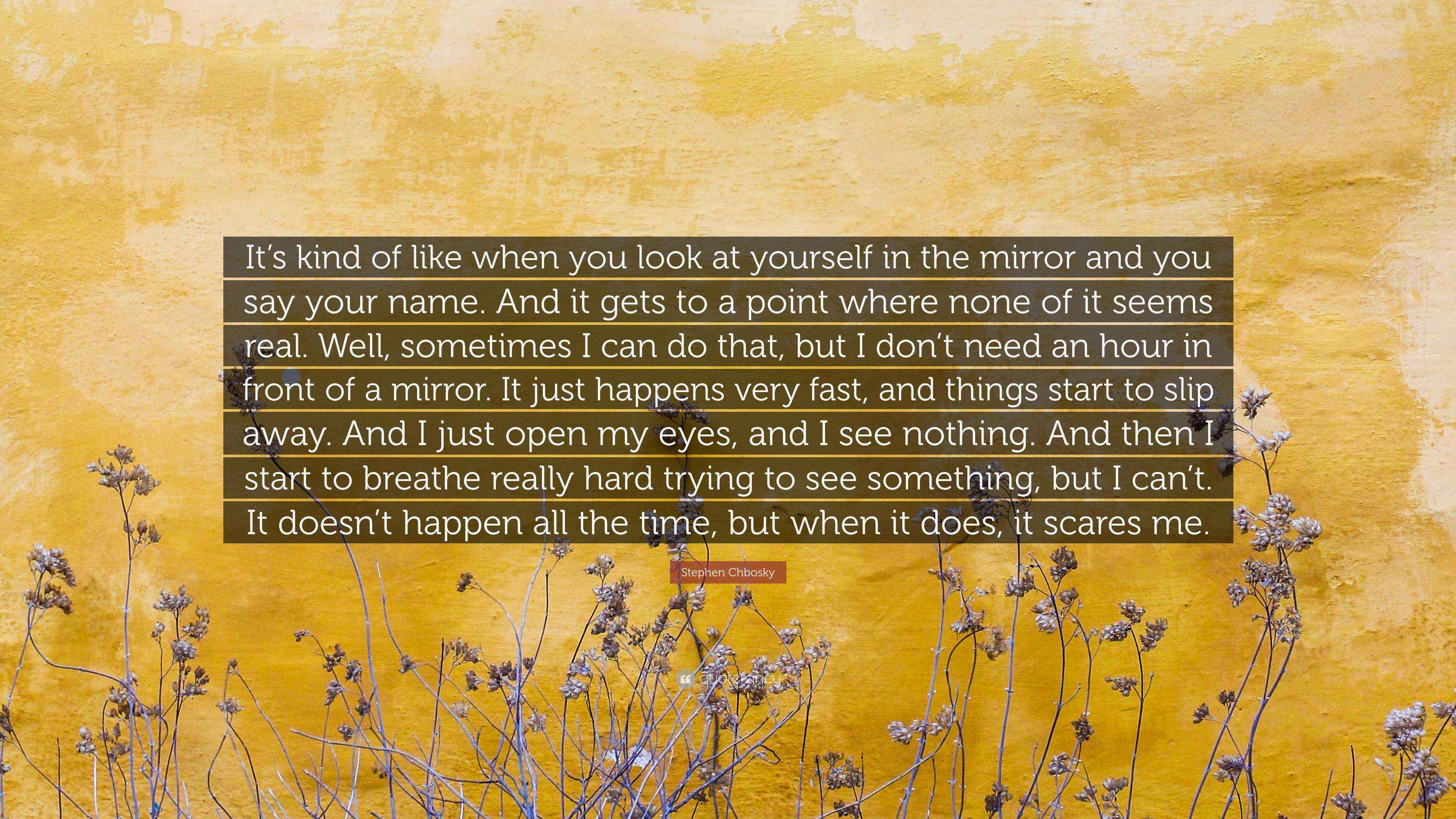 Stephen Chbosky Quote “It’s kind of like when you look at yourself in