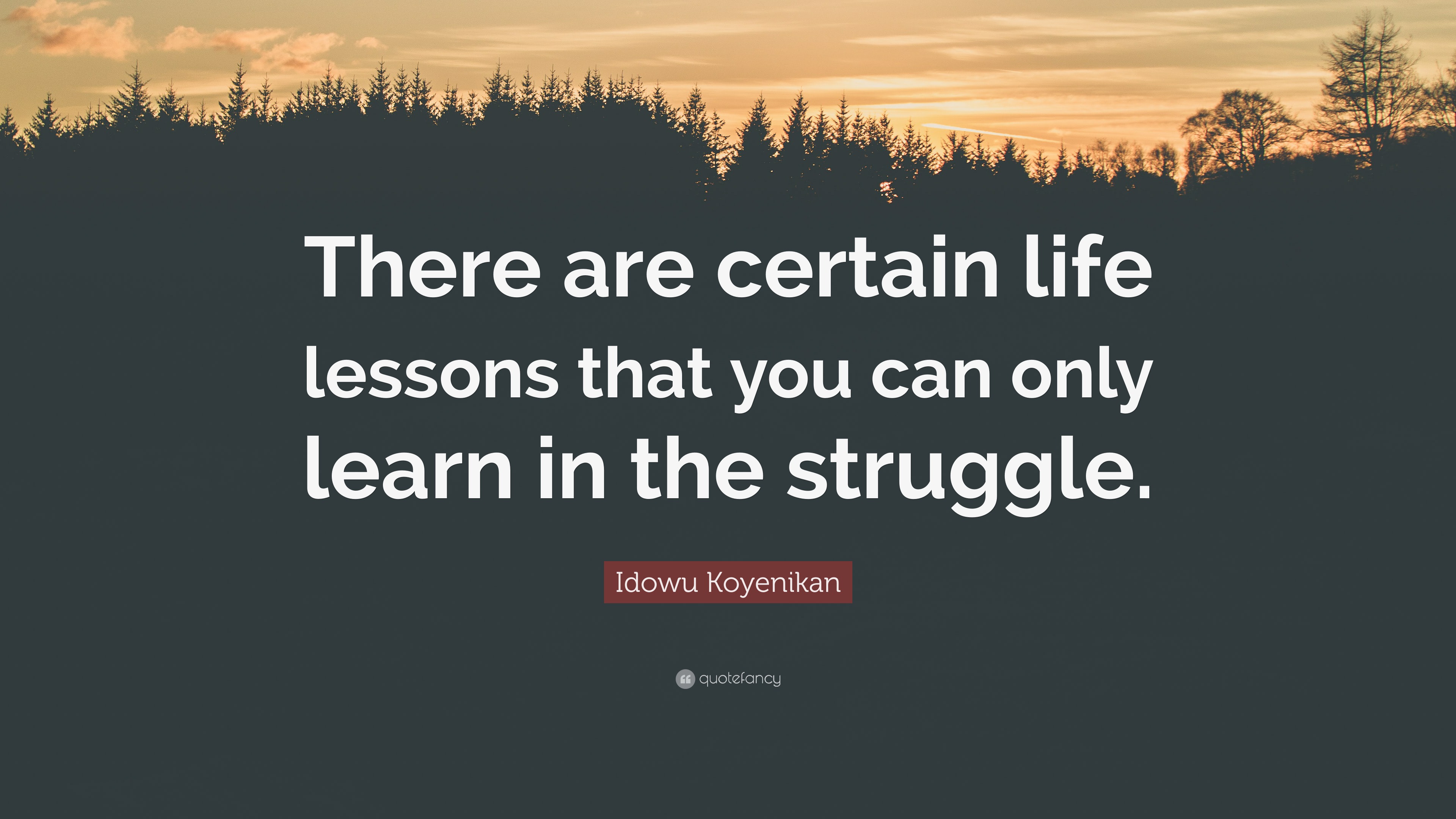 Idowu Koyenikan Quote: “There are certain life lessons that you can only  learn in the struggle.”