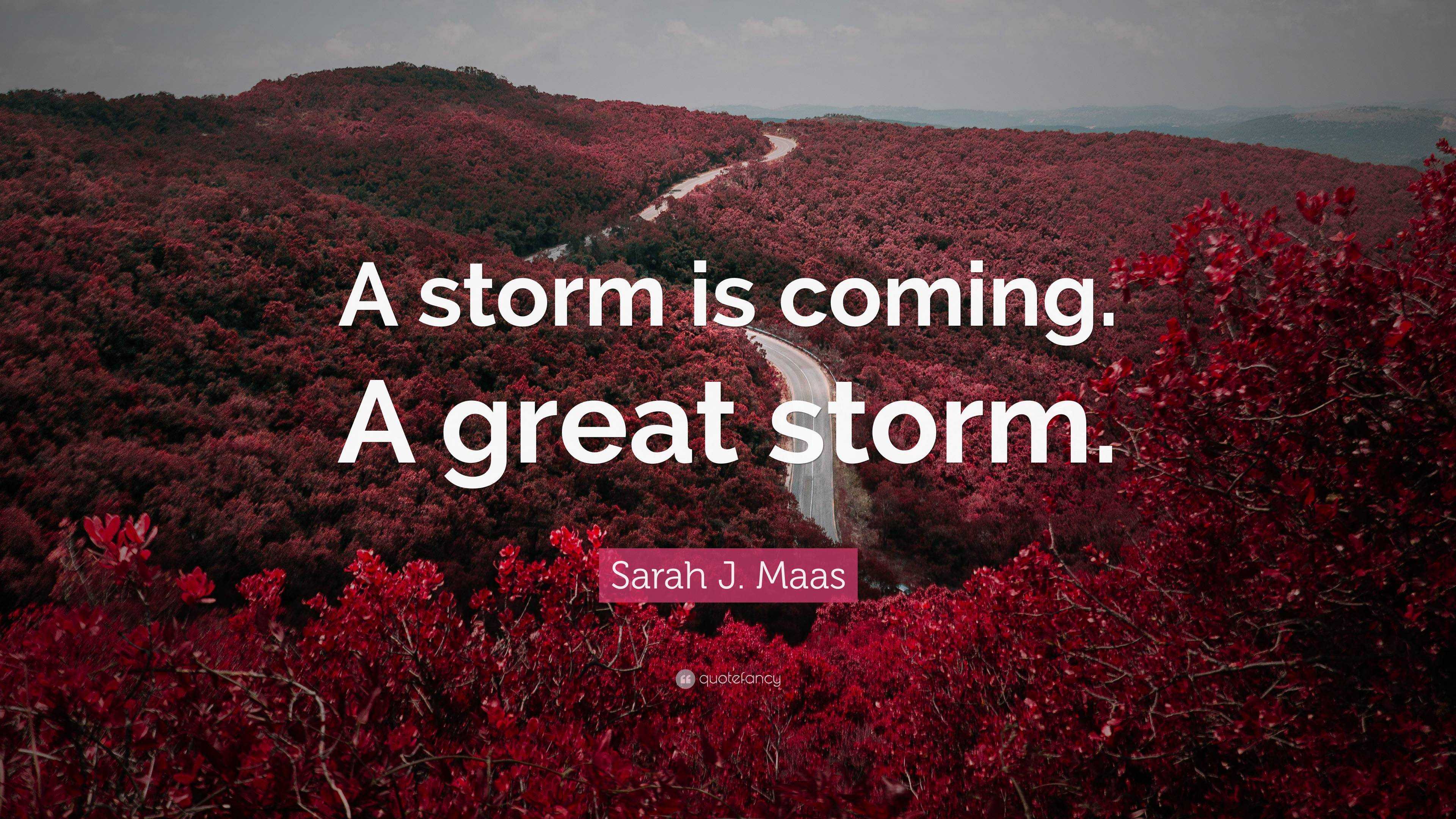 Sarah J. Maas Quote “A storm is coming. A great storm.”