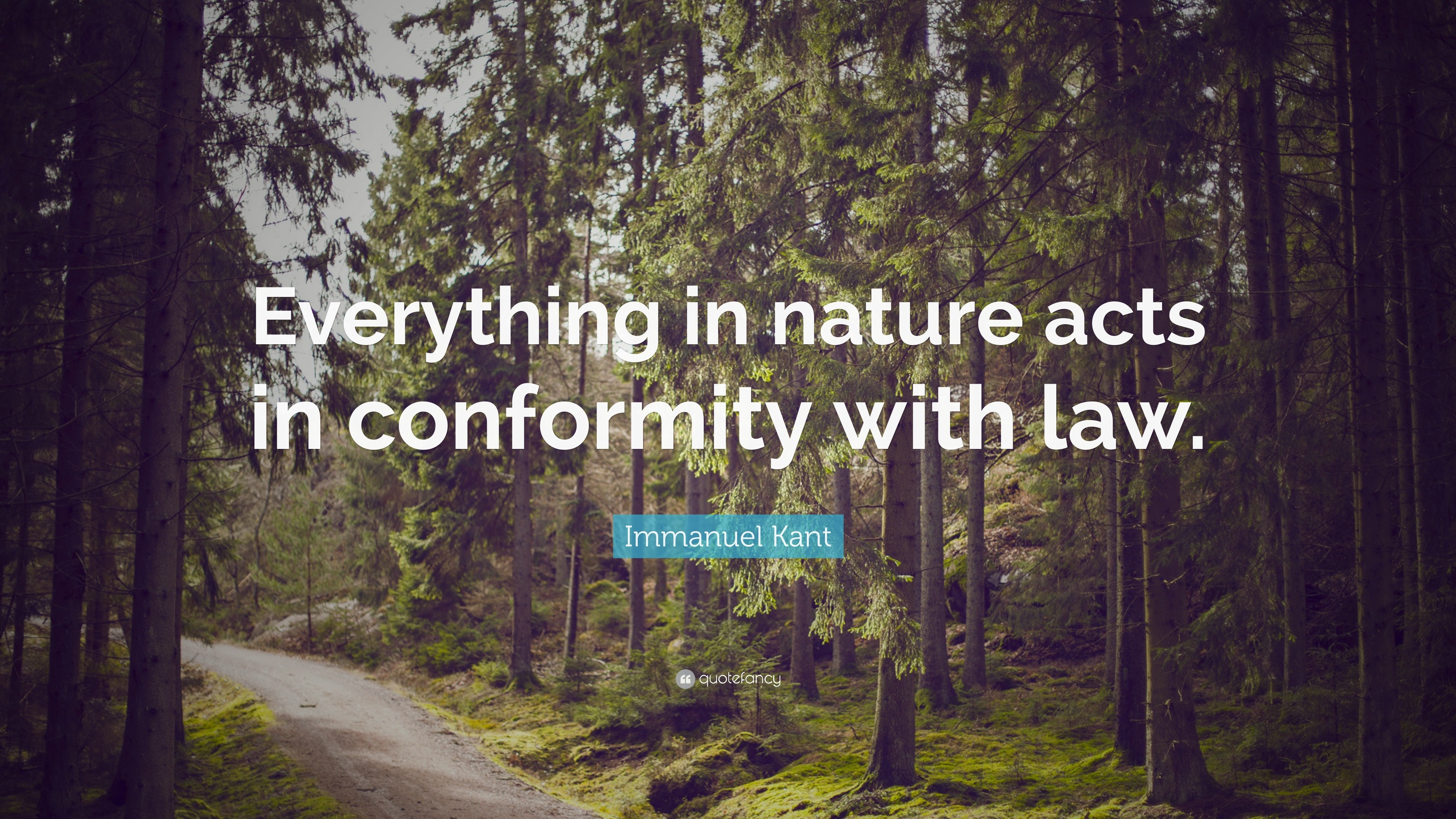 Immanuel Kant Quote: “Everything in nature acts in conformity with law.”