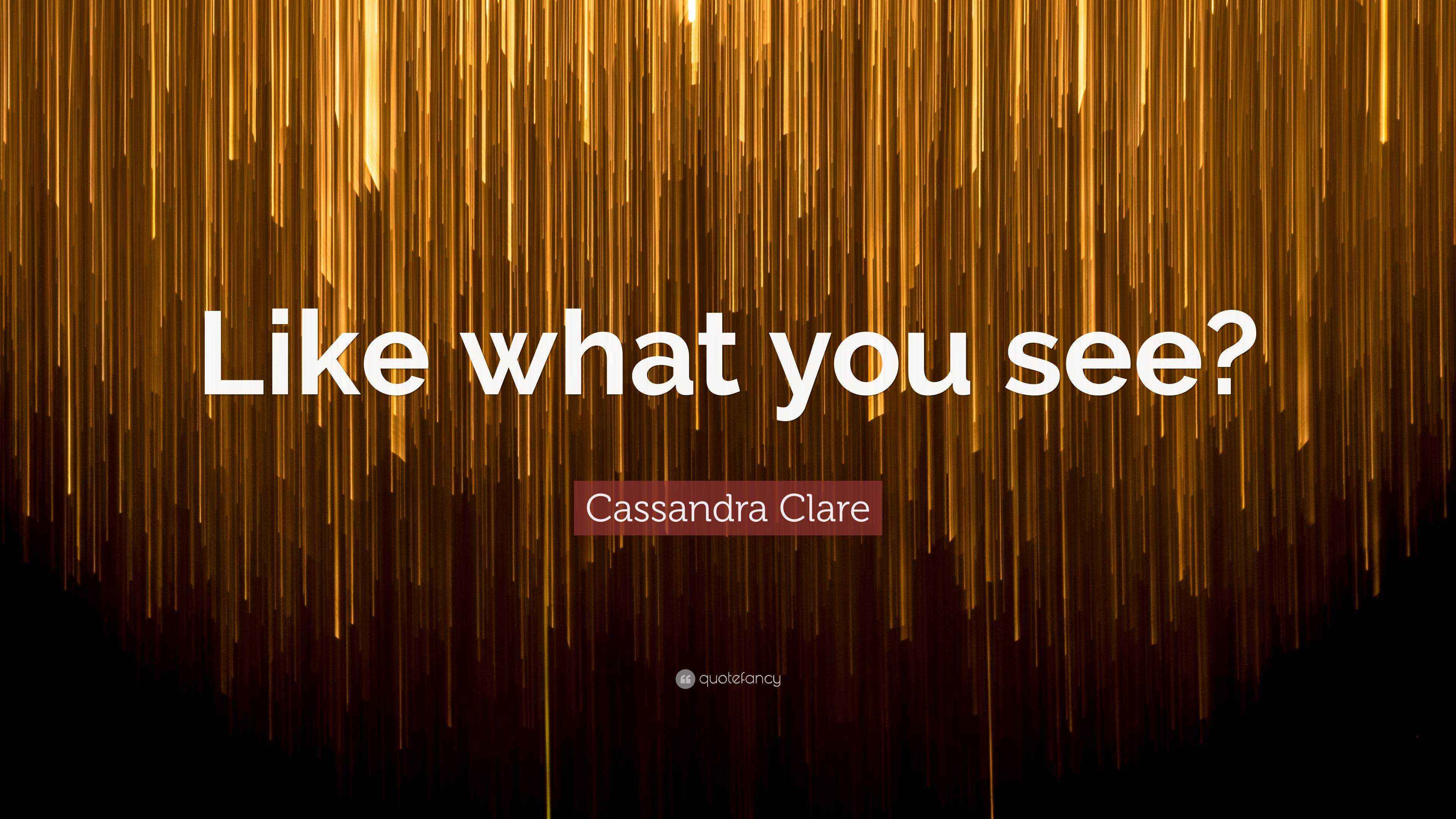 Cassandra Clare Quote: “Like what you see?”
