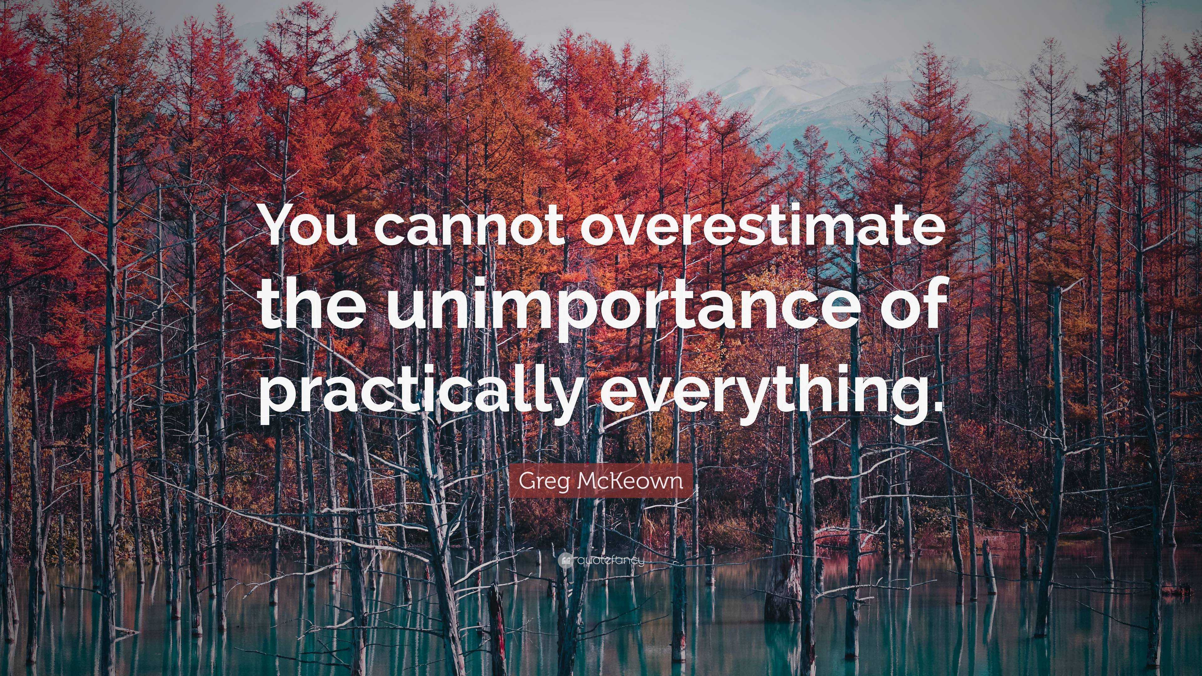 Greg McKeown Quote: “You cannot overestimate the unimportance of ...