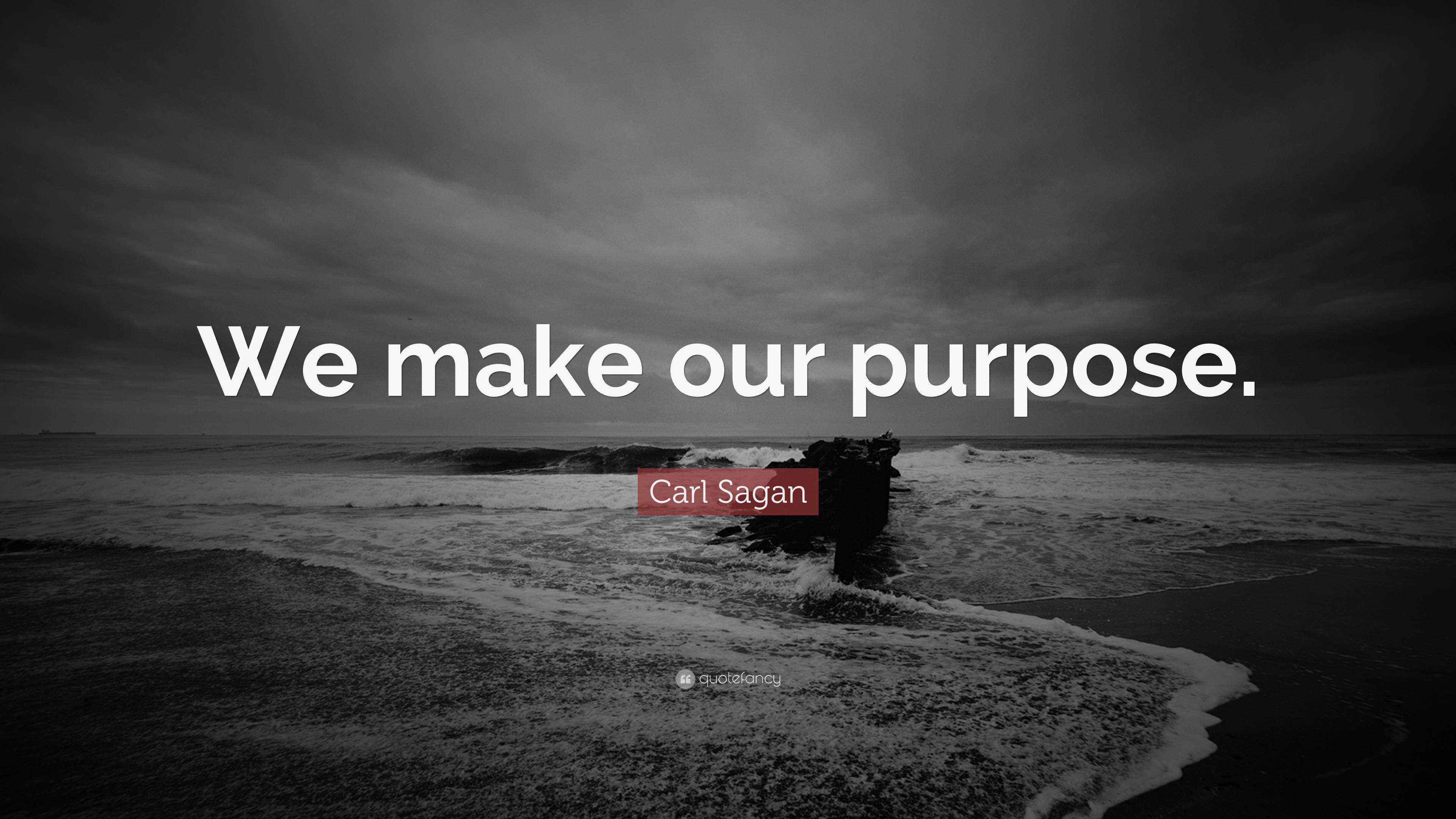 Carl Sagan Quote: “We make our purpose.”