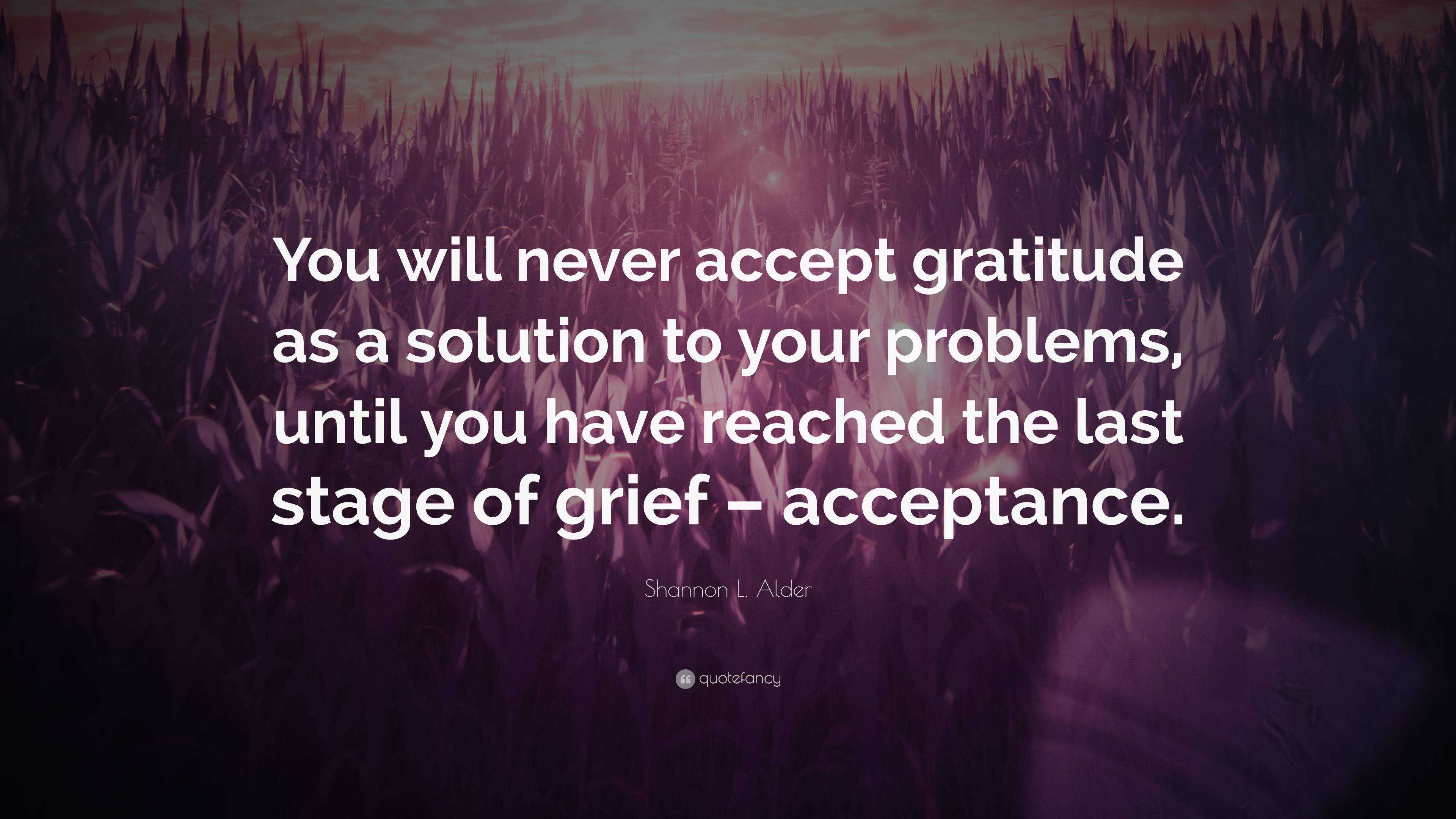 Shannon L Alder Quote You Will Never Accept Gratitude As A Solution To Your Problems Until You Have Reached The Last Stage Of Grief Accepta