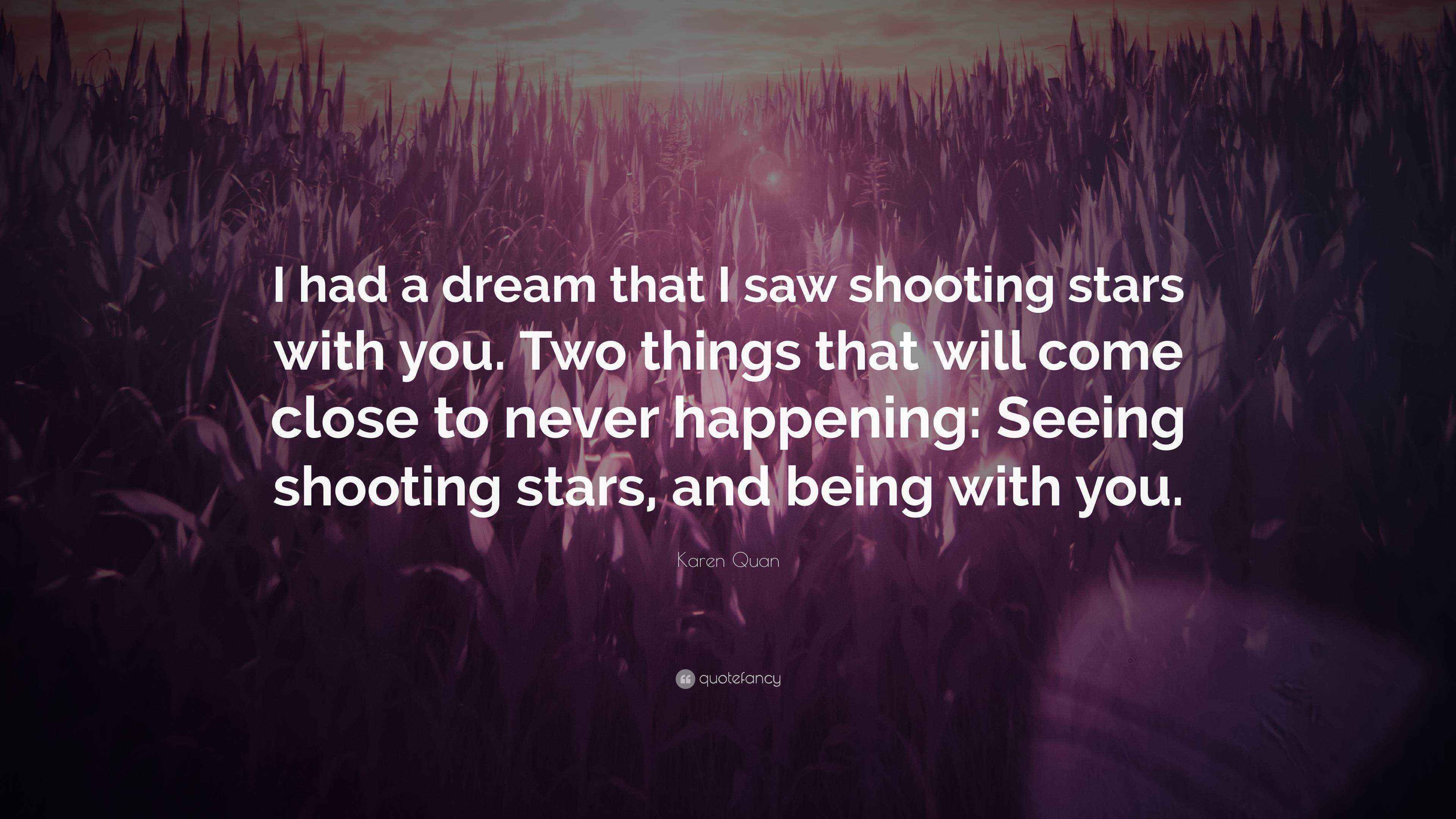 Karen Quan Quote “I had a dream that I saw shooting stars with you