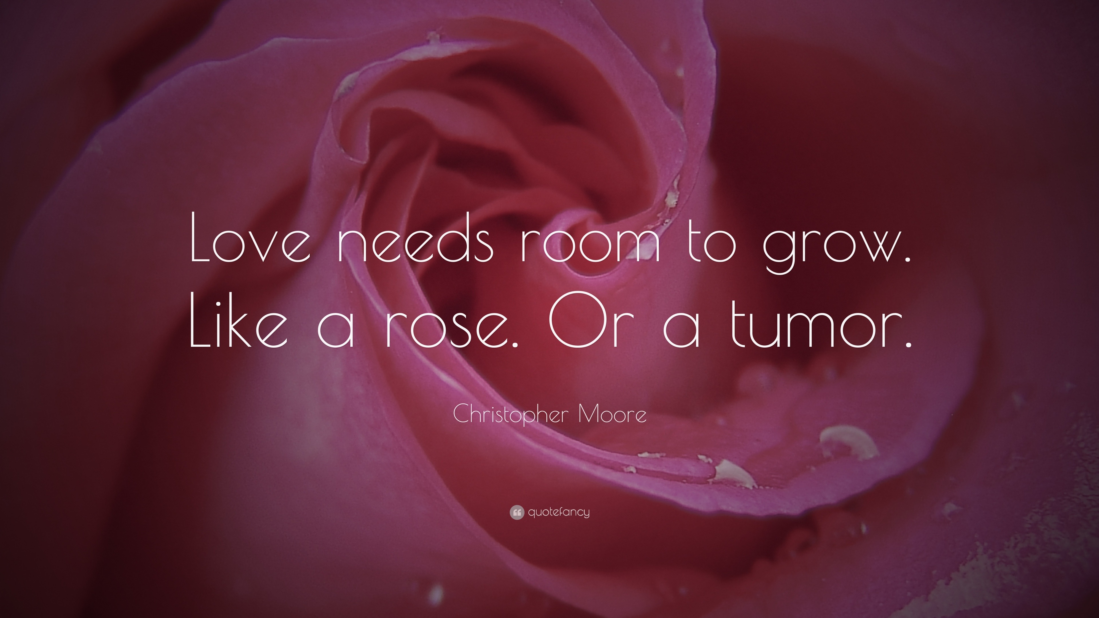 Christopher Moore Quote “Love needs room to grow Like a rose Or