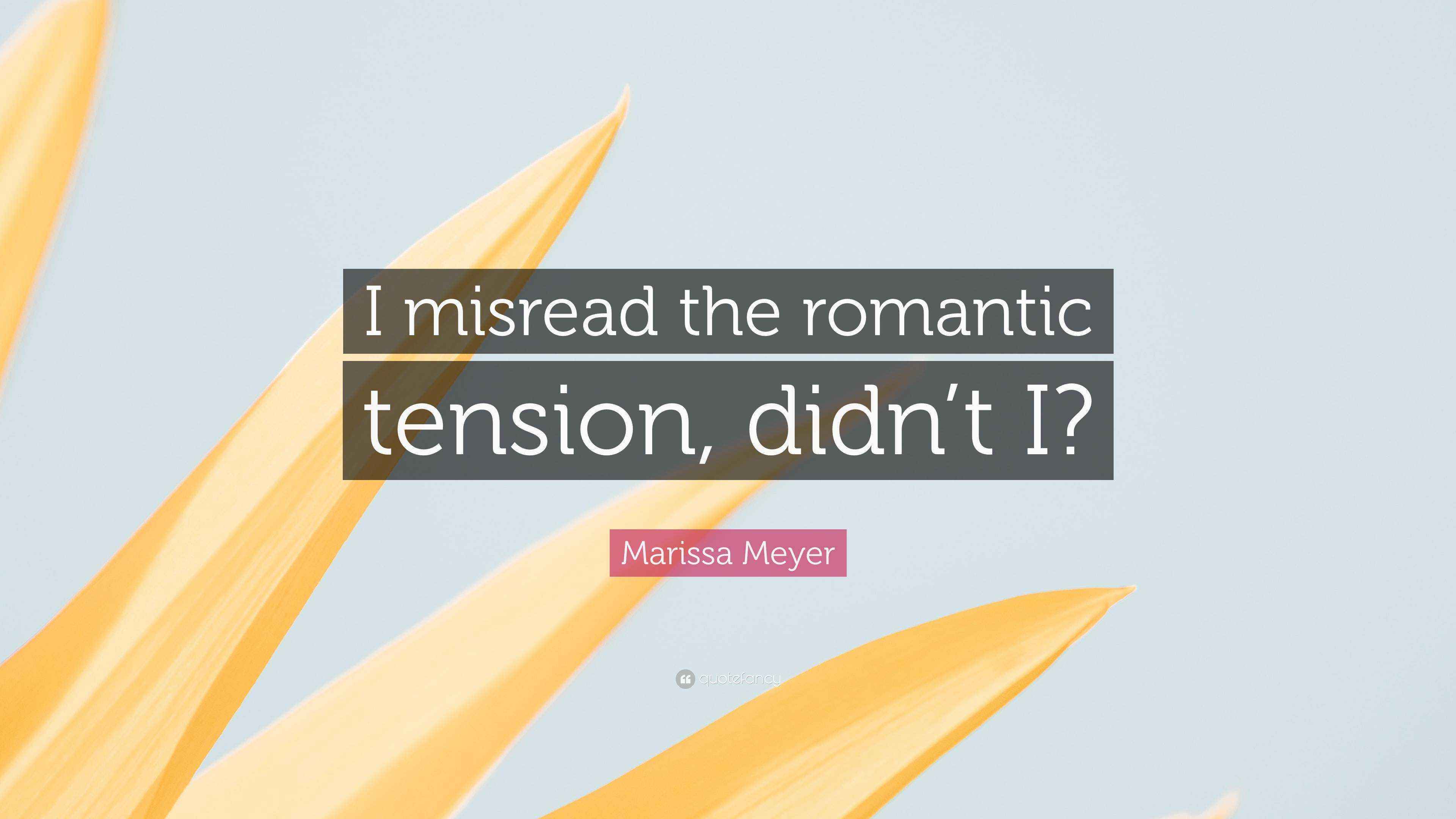 Marissa Meyer Quote: “I misread the romantic tension, didn’t I?”