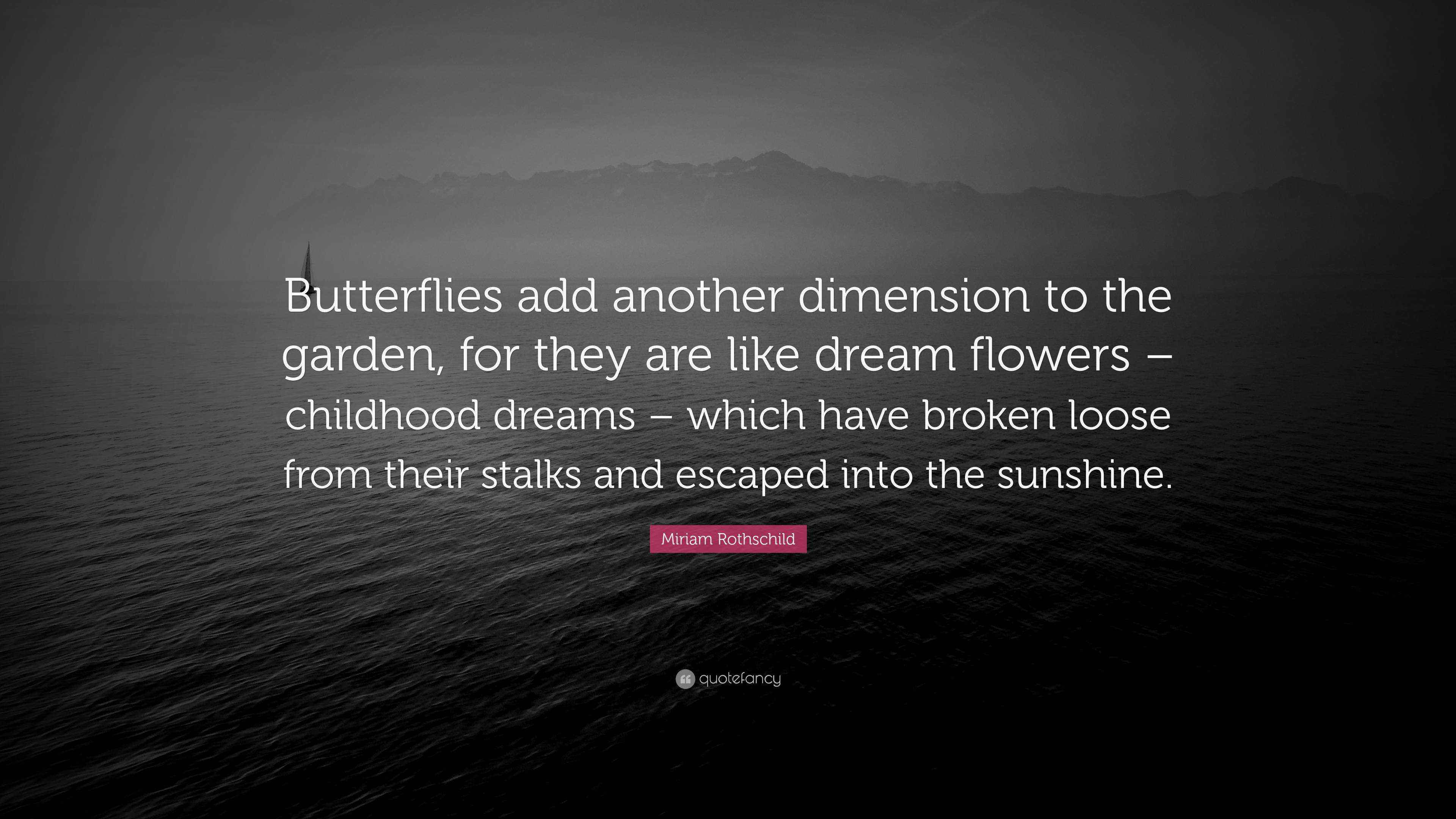 Miriam Rothschild Quote “Butterflies add another dimension to the