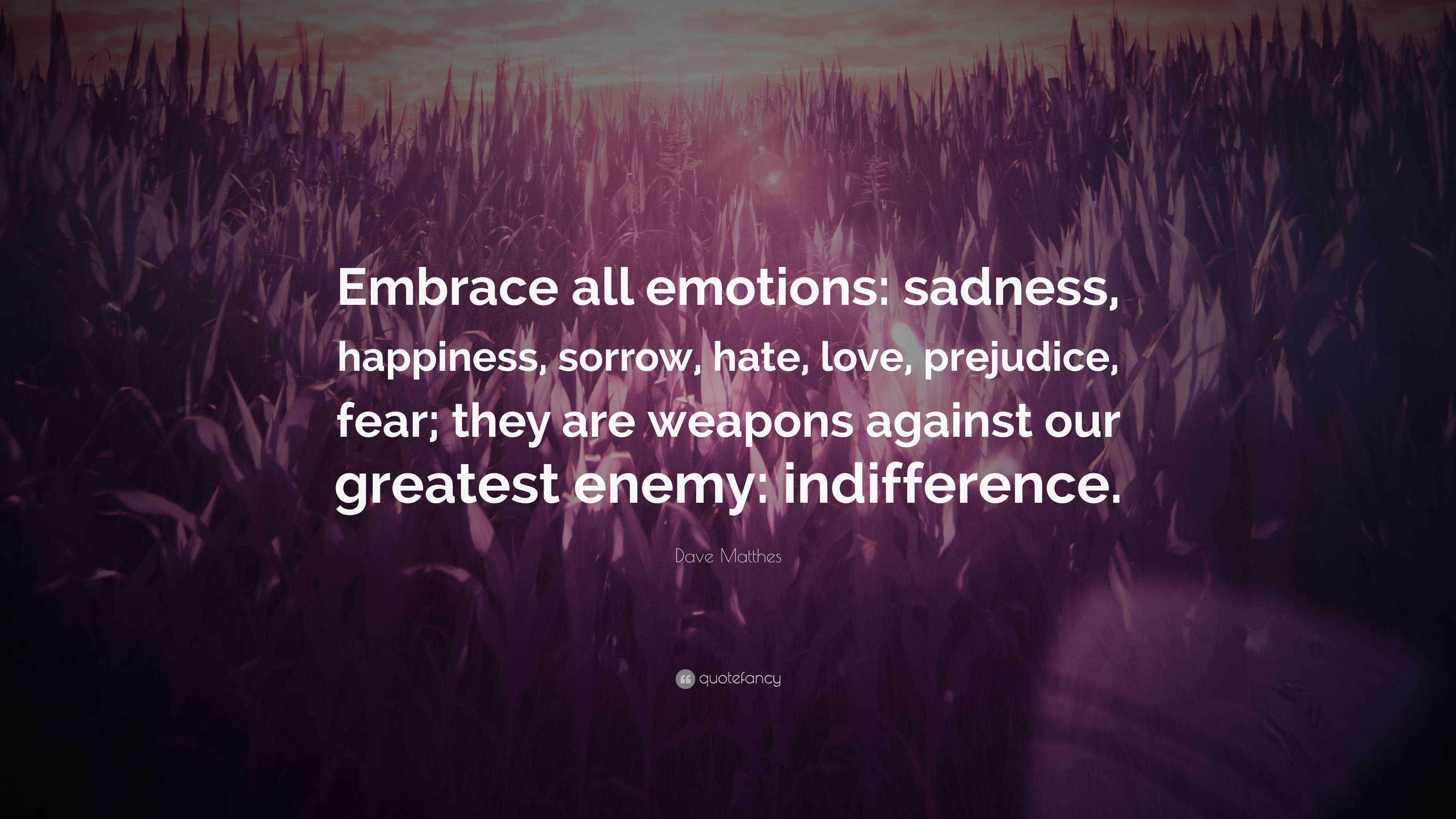 Dave Matthes Quote: “Embrace all emotions: sadness, happiness