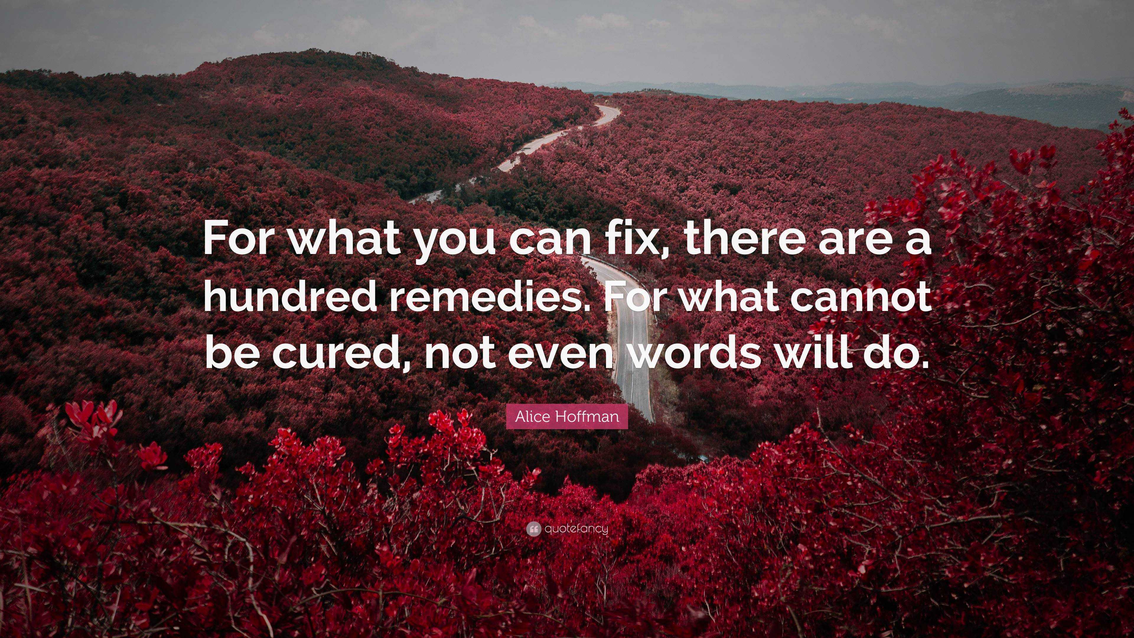 Alice Hoffman Quote: “For What You Can Fix, There Are A Hundred ...