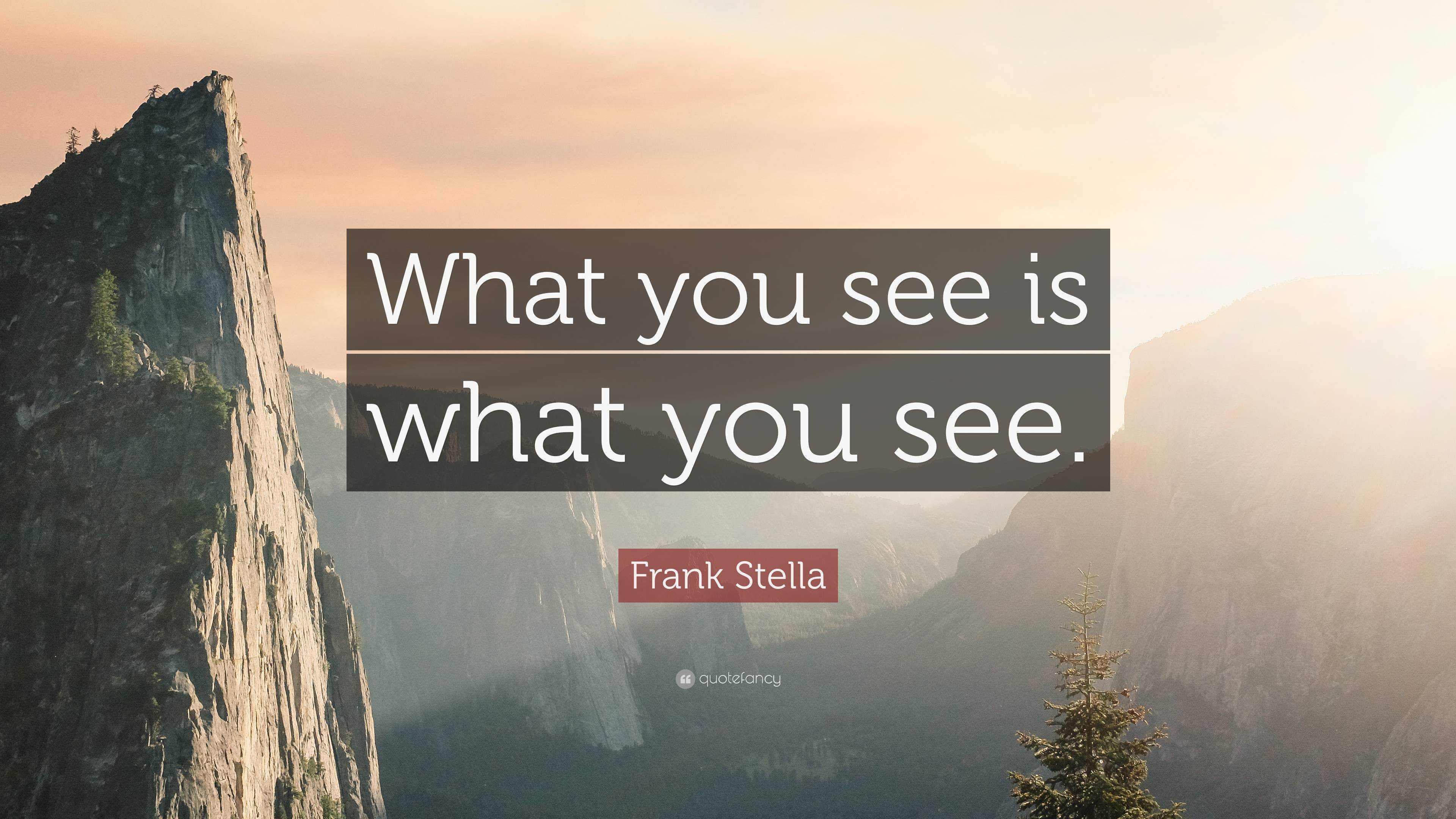 Top 20 Frank Stella Quotes (2024 Update) - QuoteFancy