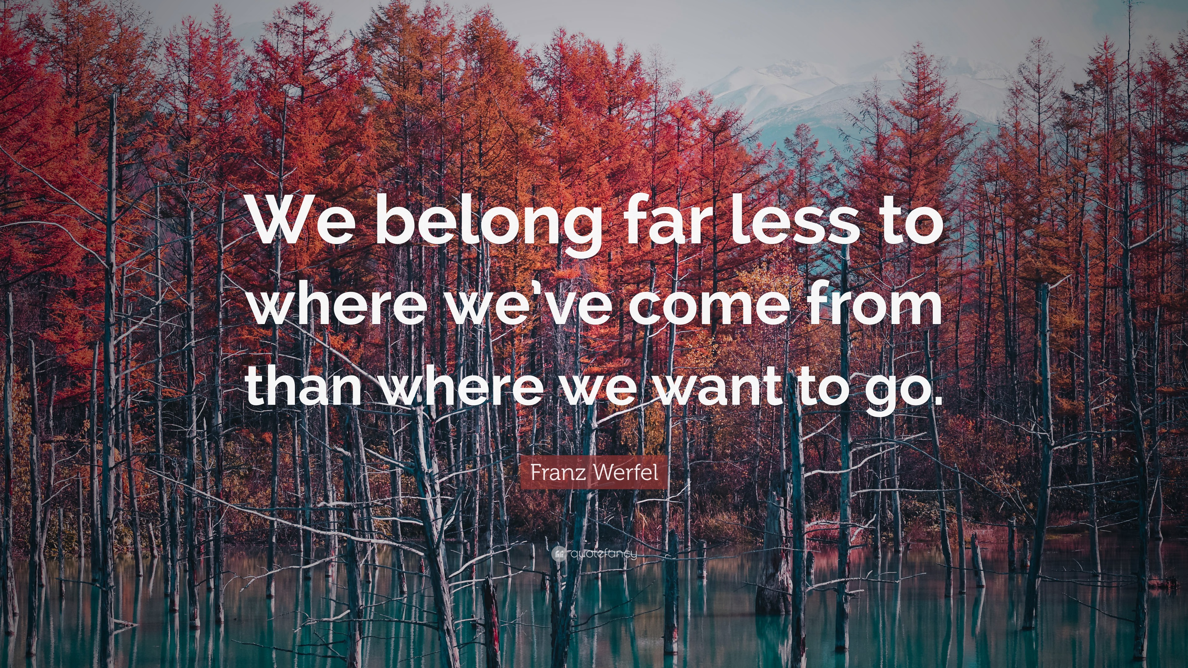 franz-werfel-quote-we-belong-far-less-to-where-we-ve-come-from-than